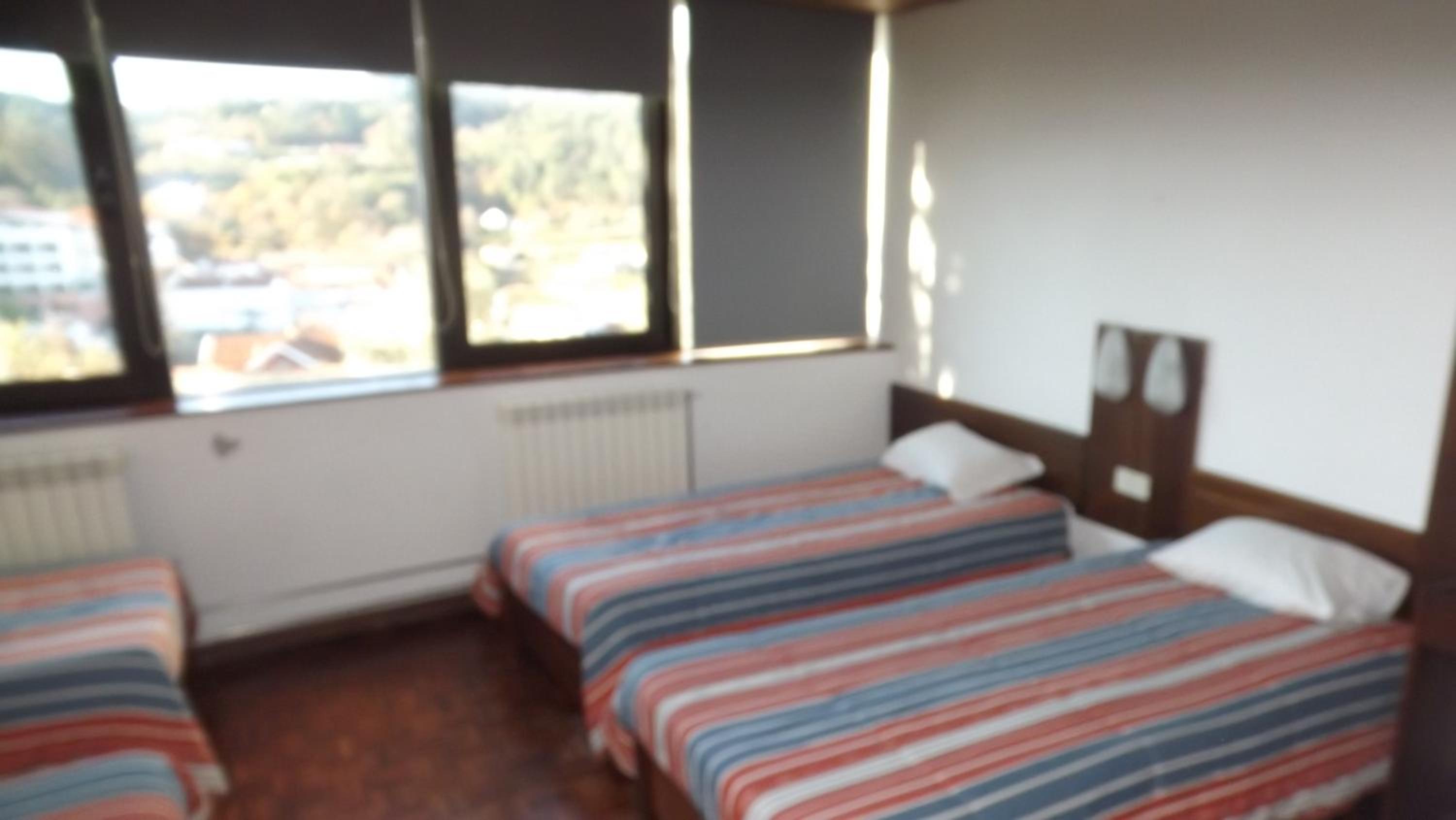 Single Bed in Female Dormitory Room photo 1