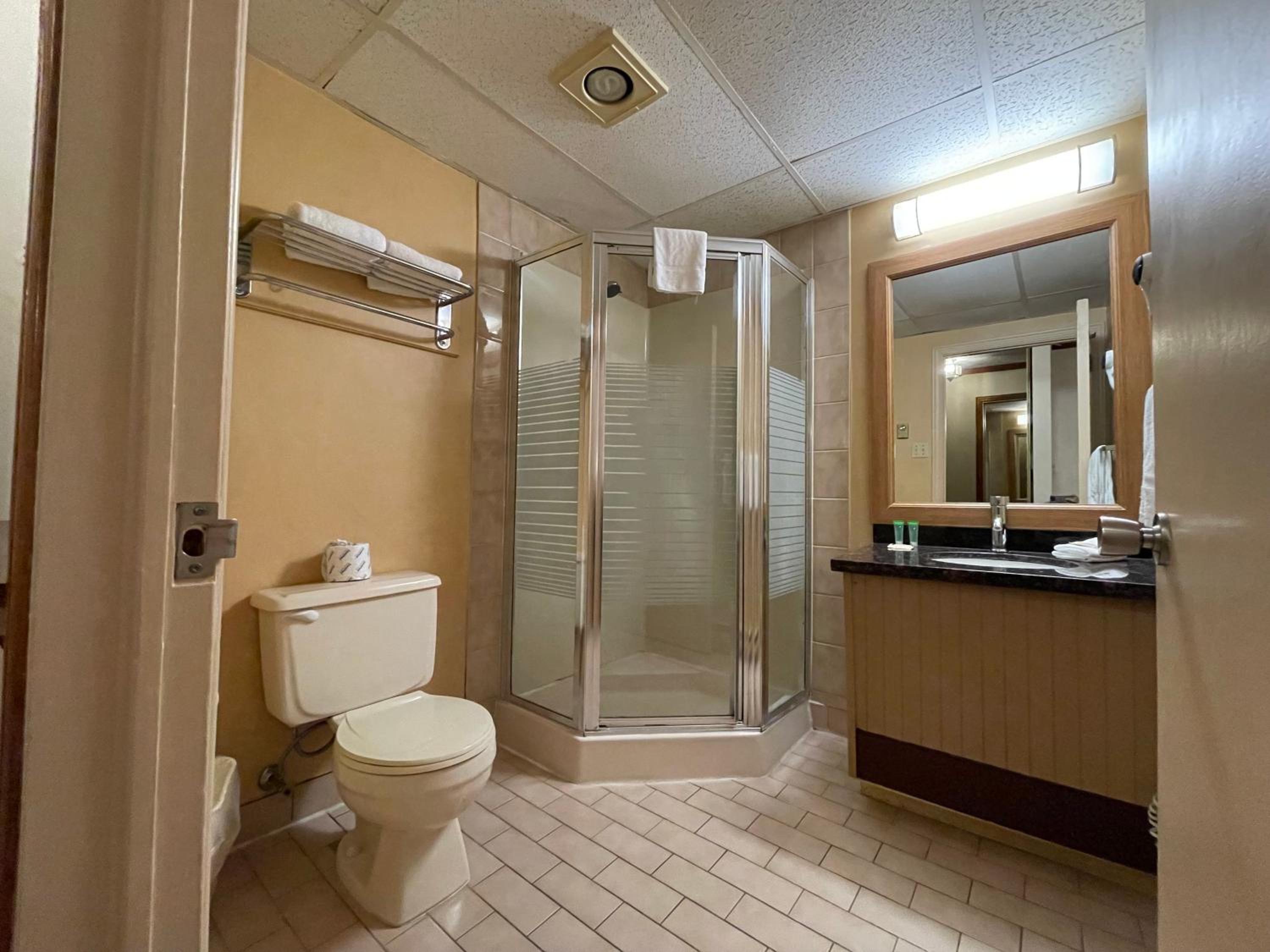 King Suite - Non-Smoking - Photo 4