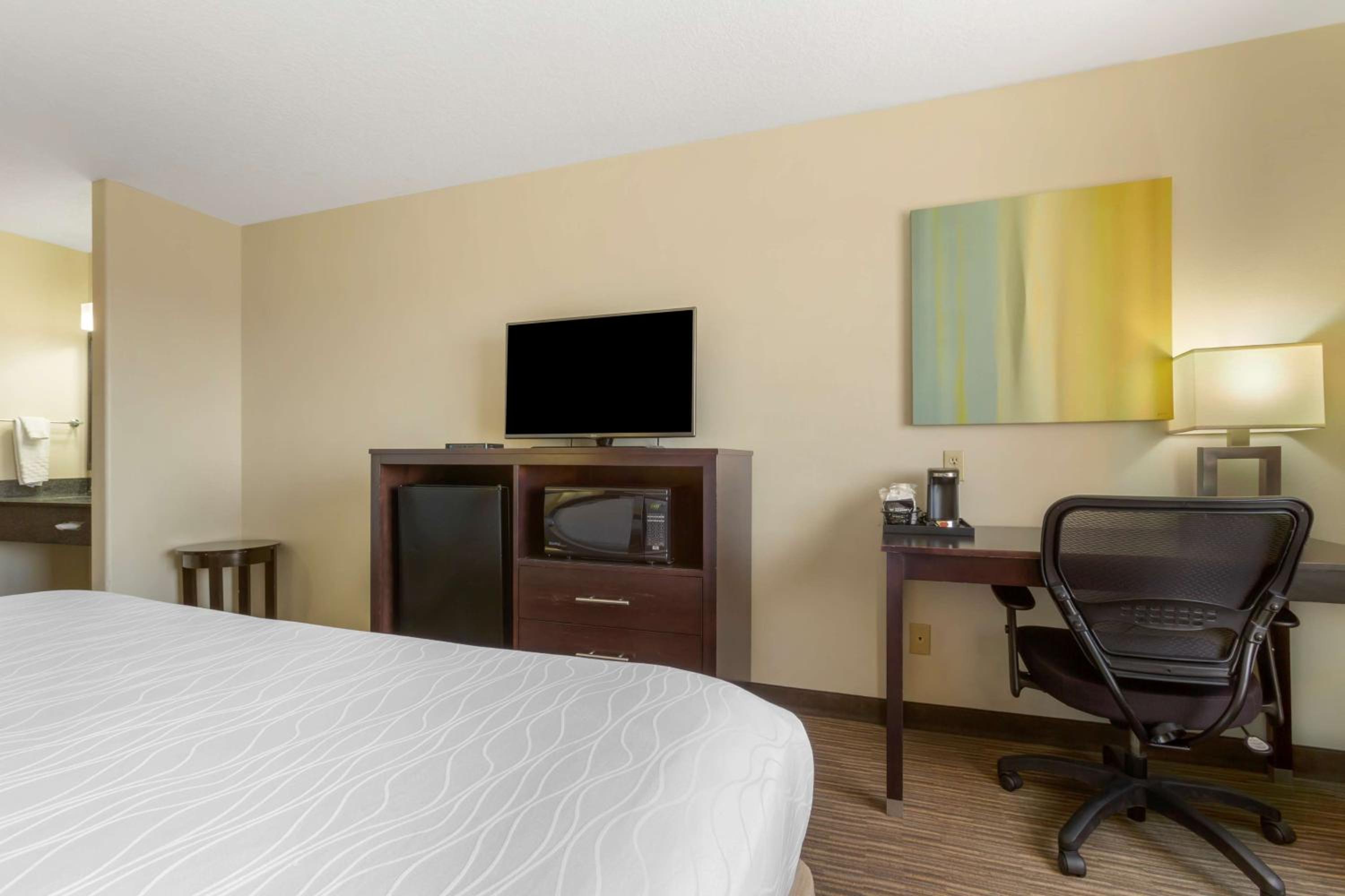 King Room - Pet Friendly/Non-Smoking - Photo 4