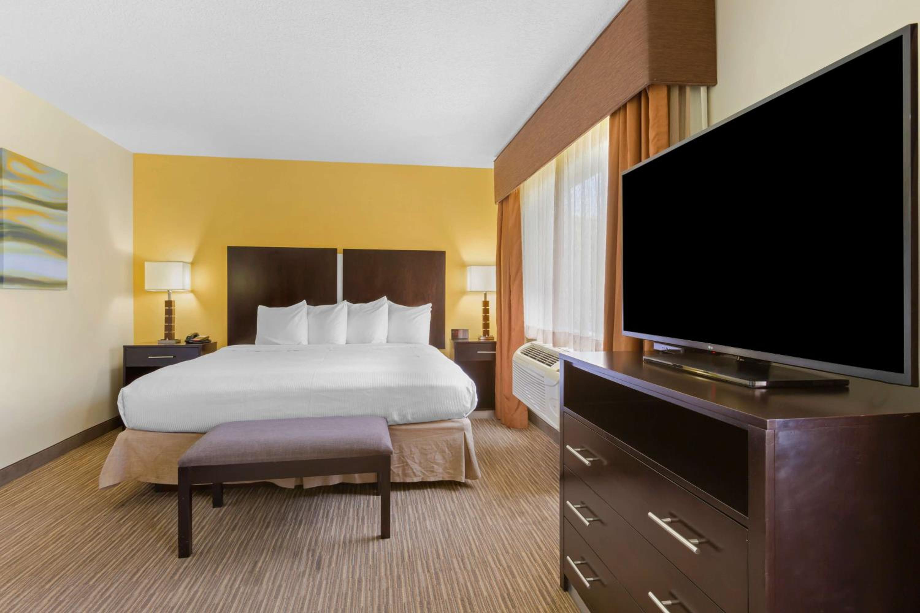 Mini Suite photo 3