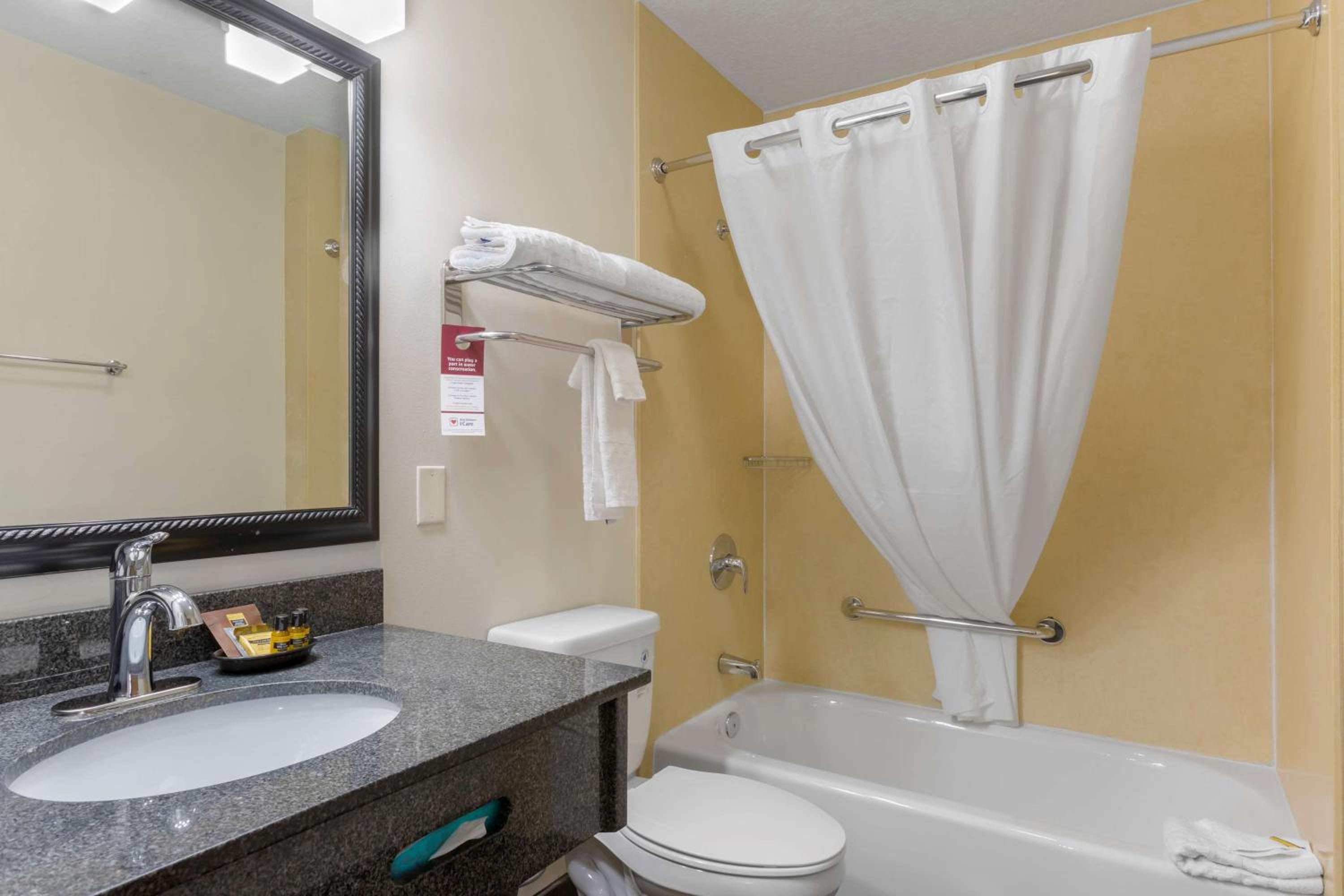 Mini Suite photo 2