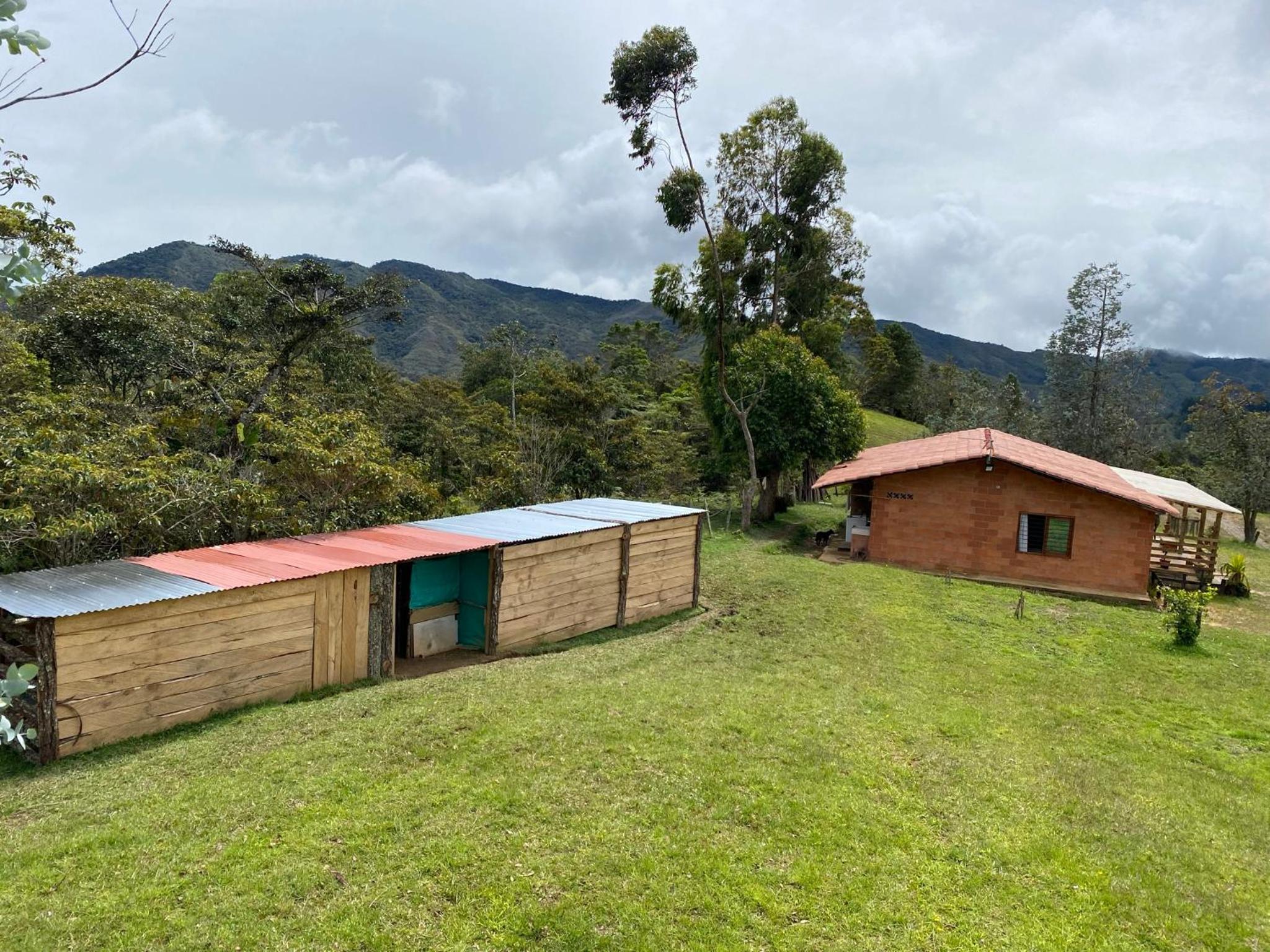 Three-Bedroom House photo 2
