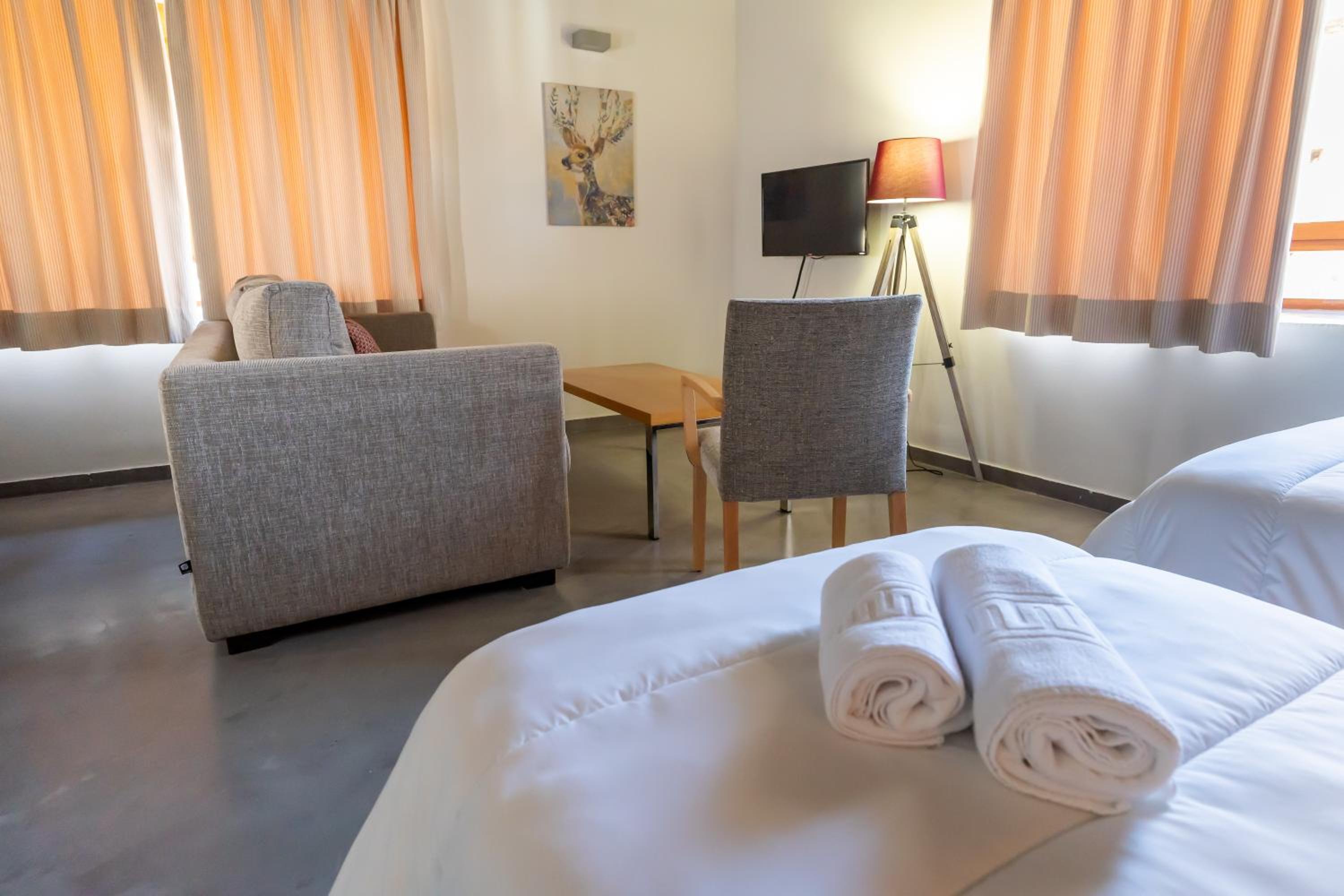 Superior Twin Room photo 2