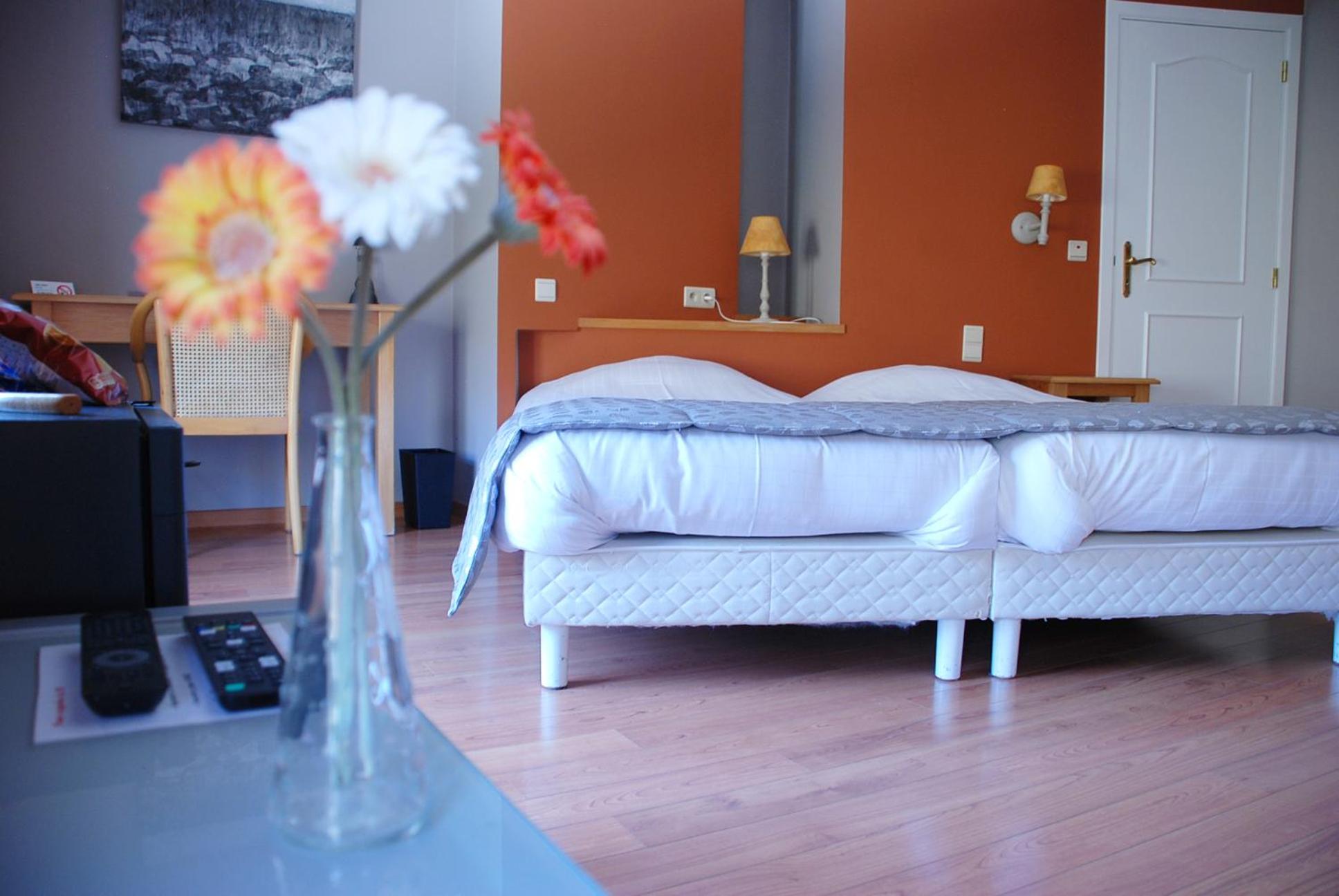 Large Twin Room photo 1