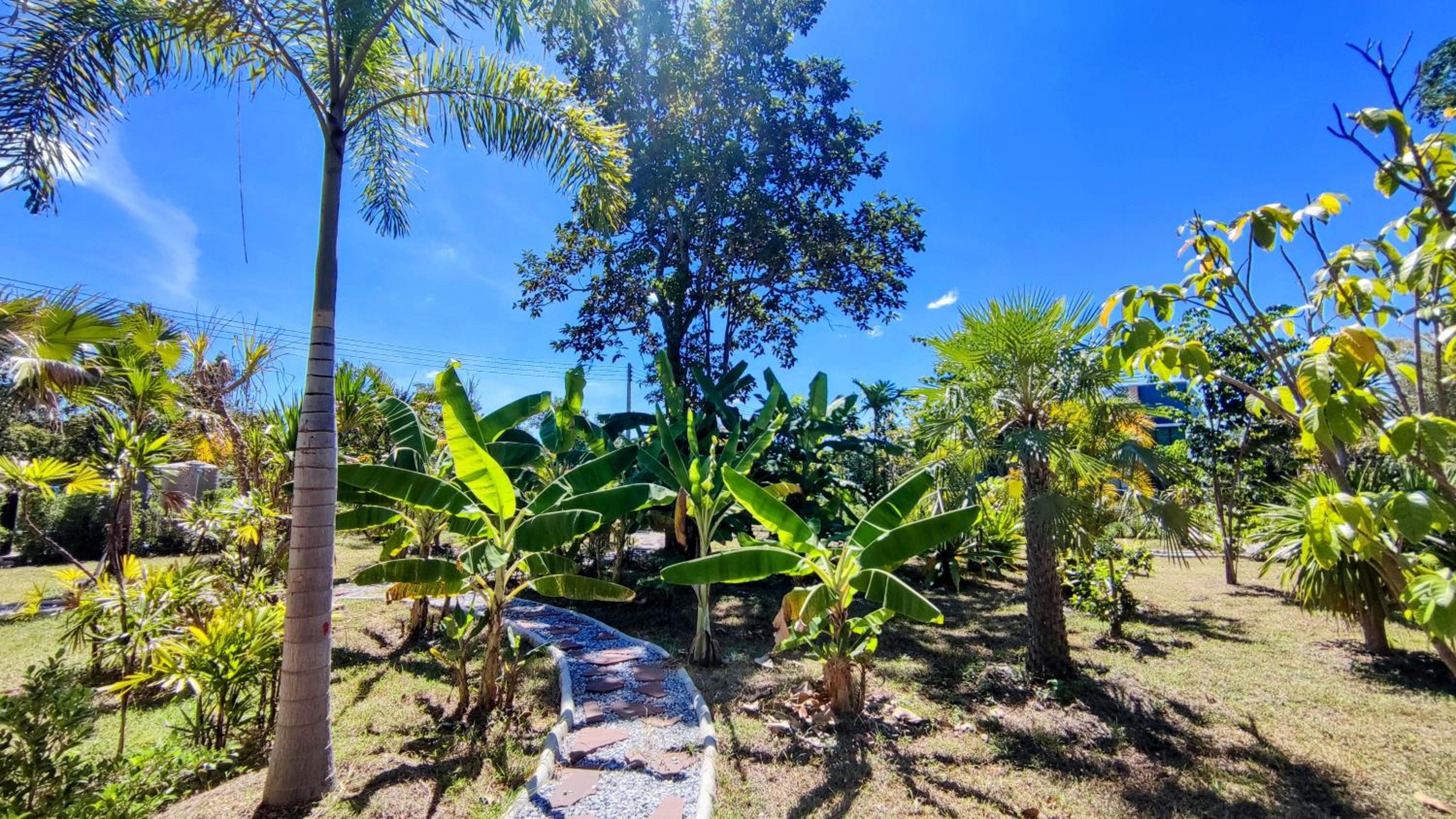 Deluxe Bungalow - Photo 4