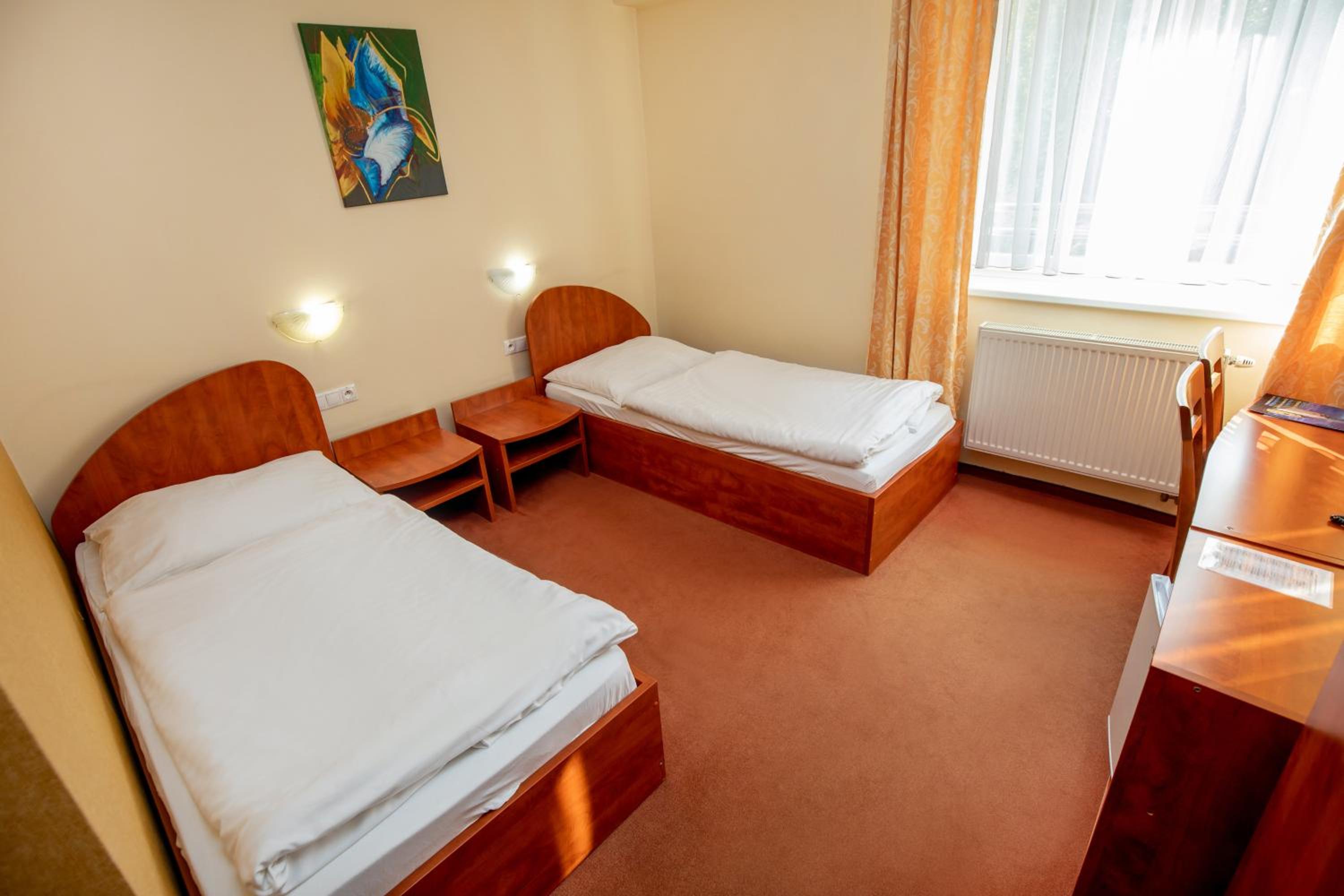 Single Room photo 1