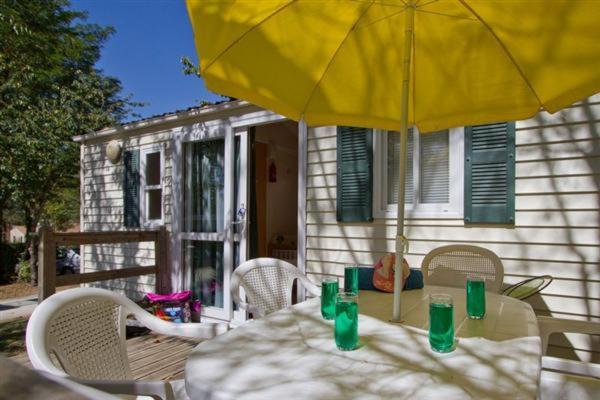 Mobile Home photo 1