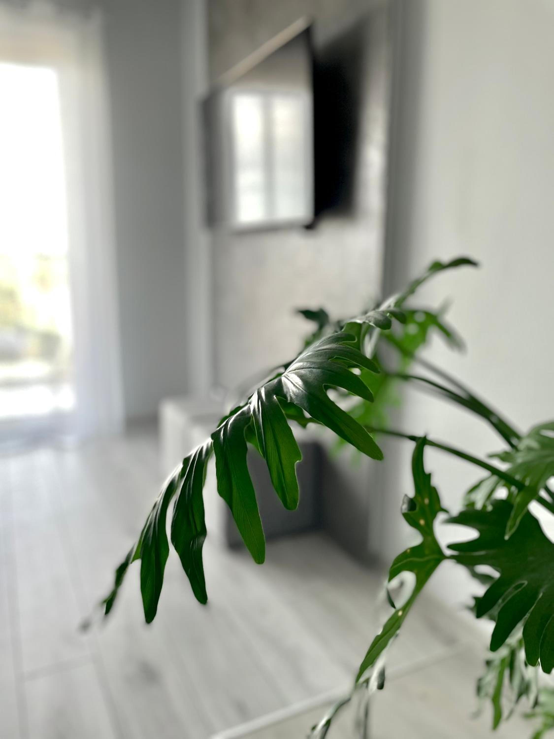 One-Bedroom Apartment - Photo 19
