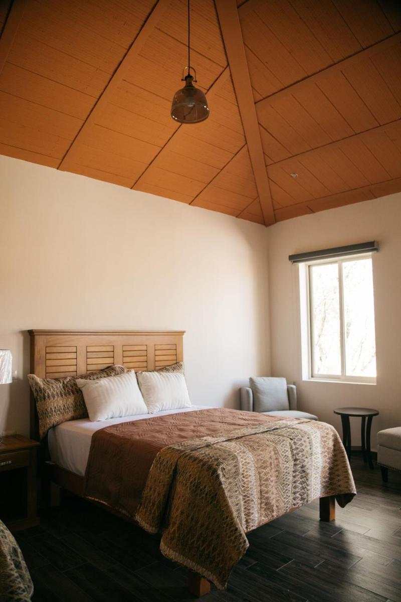 Double Room with Two Double Beds photo 1