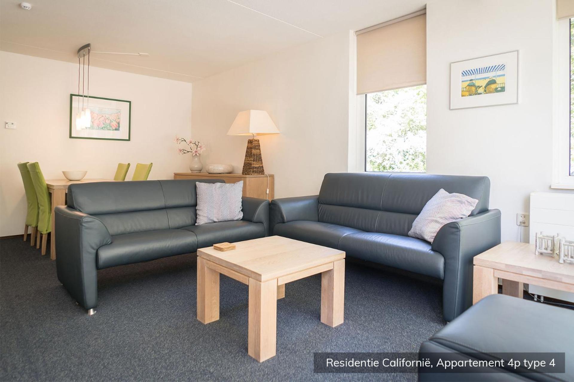 Spacious Apartment with Terrace and Garden photo 3