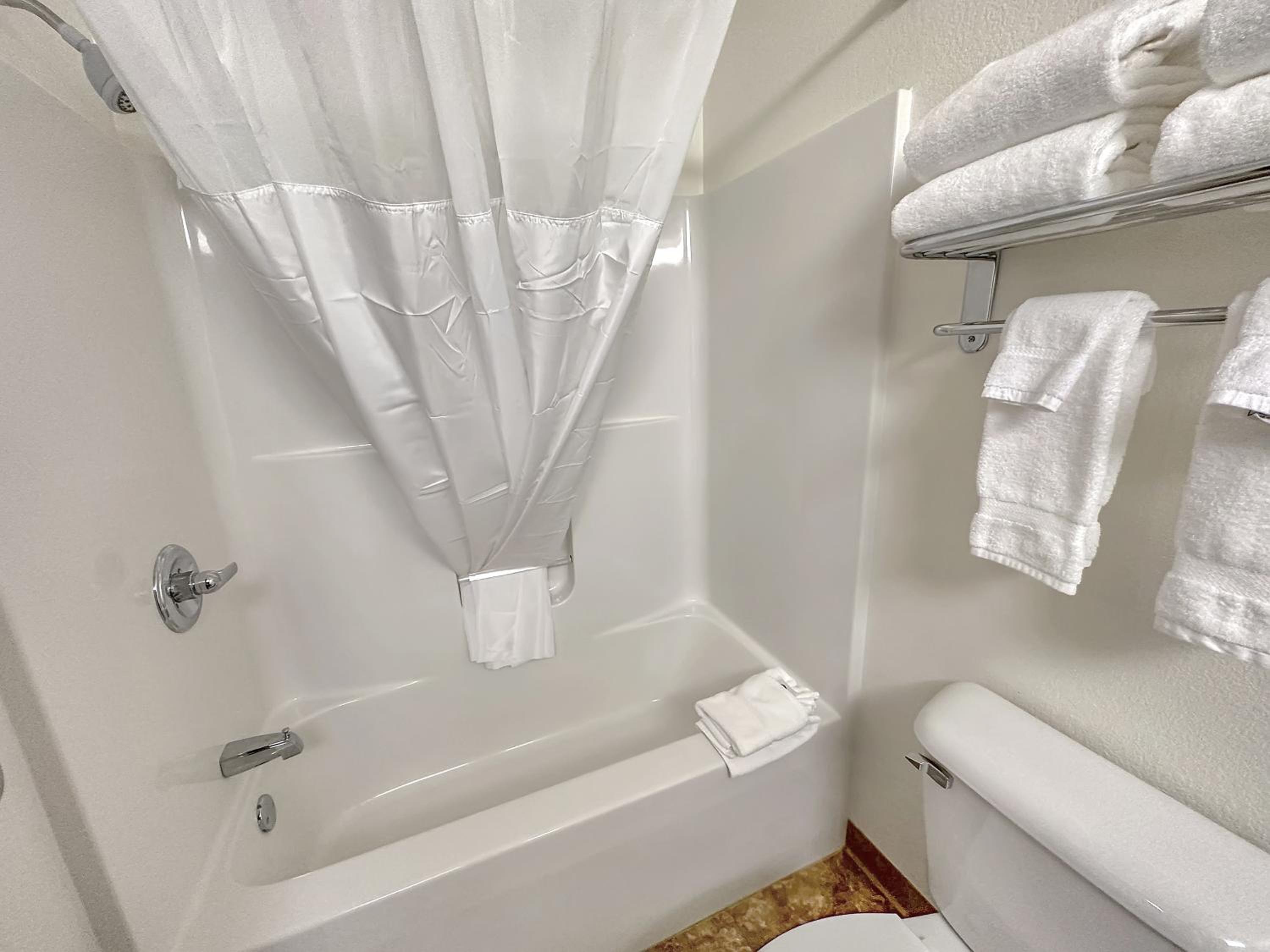 Deluxe Suite with Spa Bath photo 2