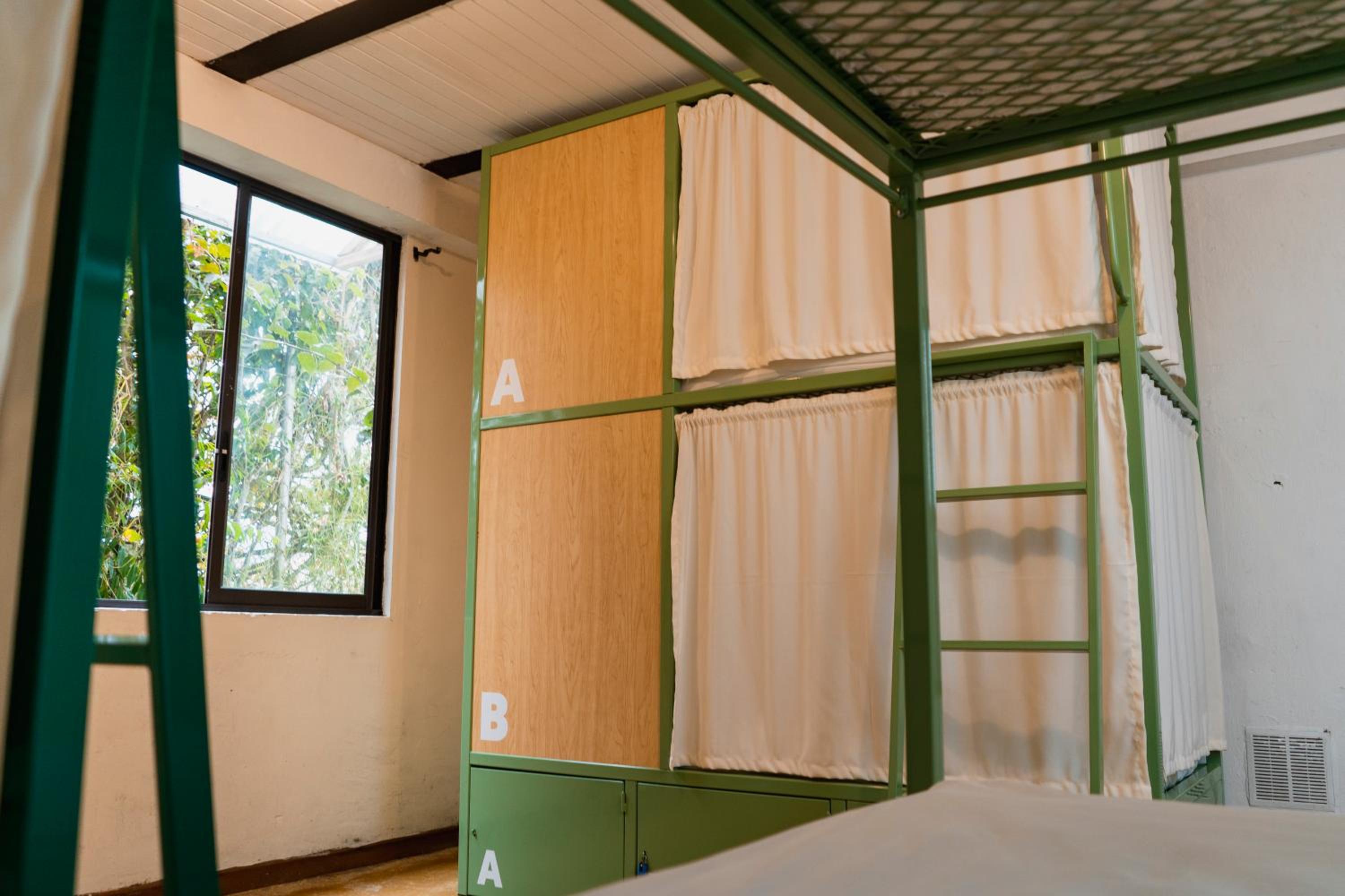 Bed in 6-Bed Mixed Dormitory Room