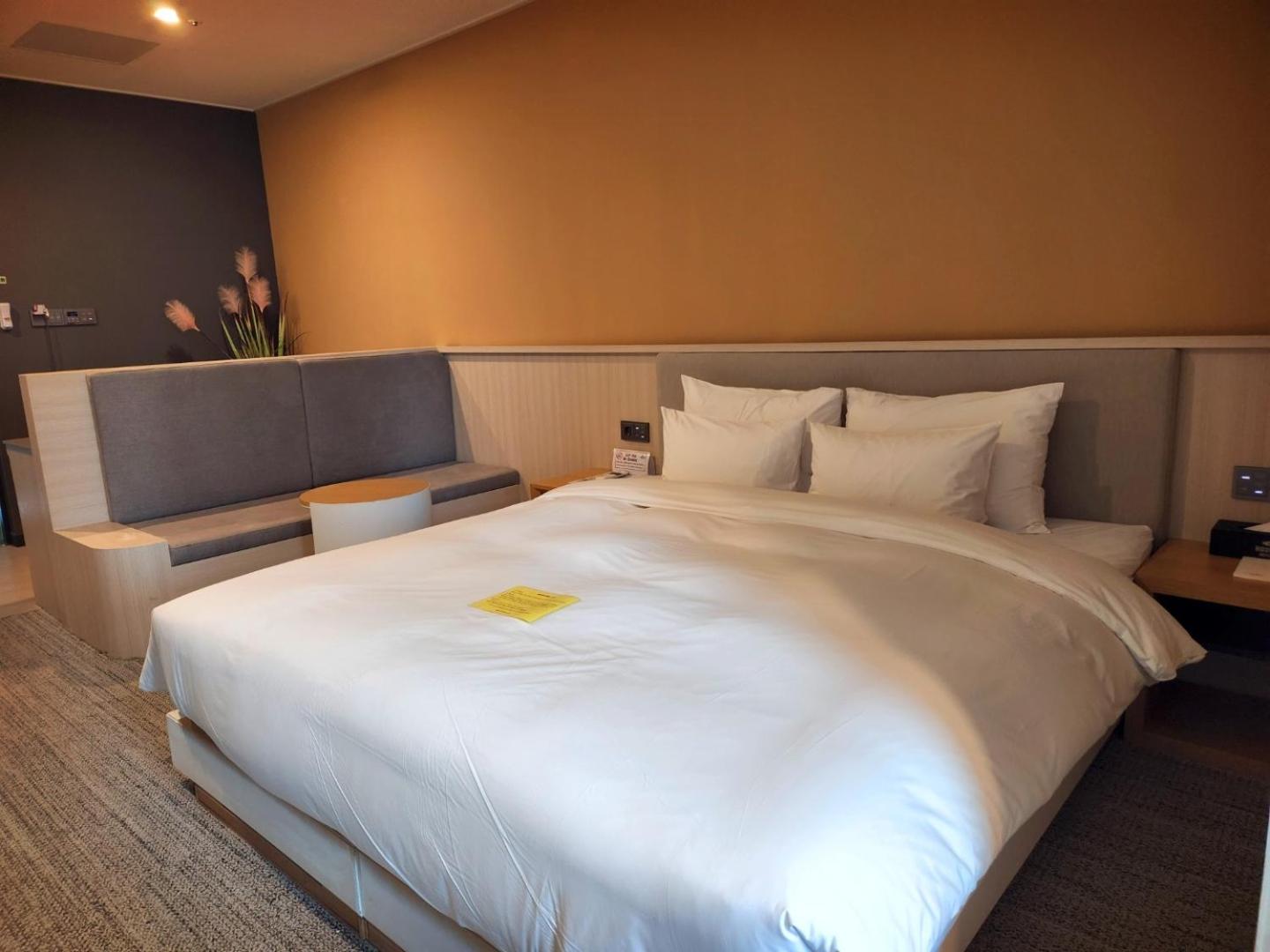 Premier Deluxe Room with Free access to Rooftop pool - Photo 1