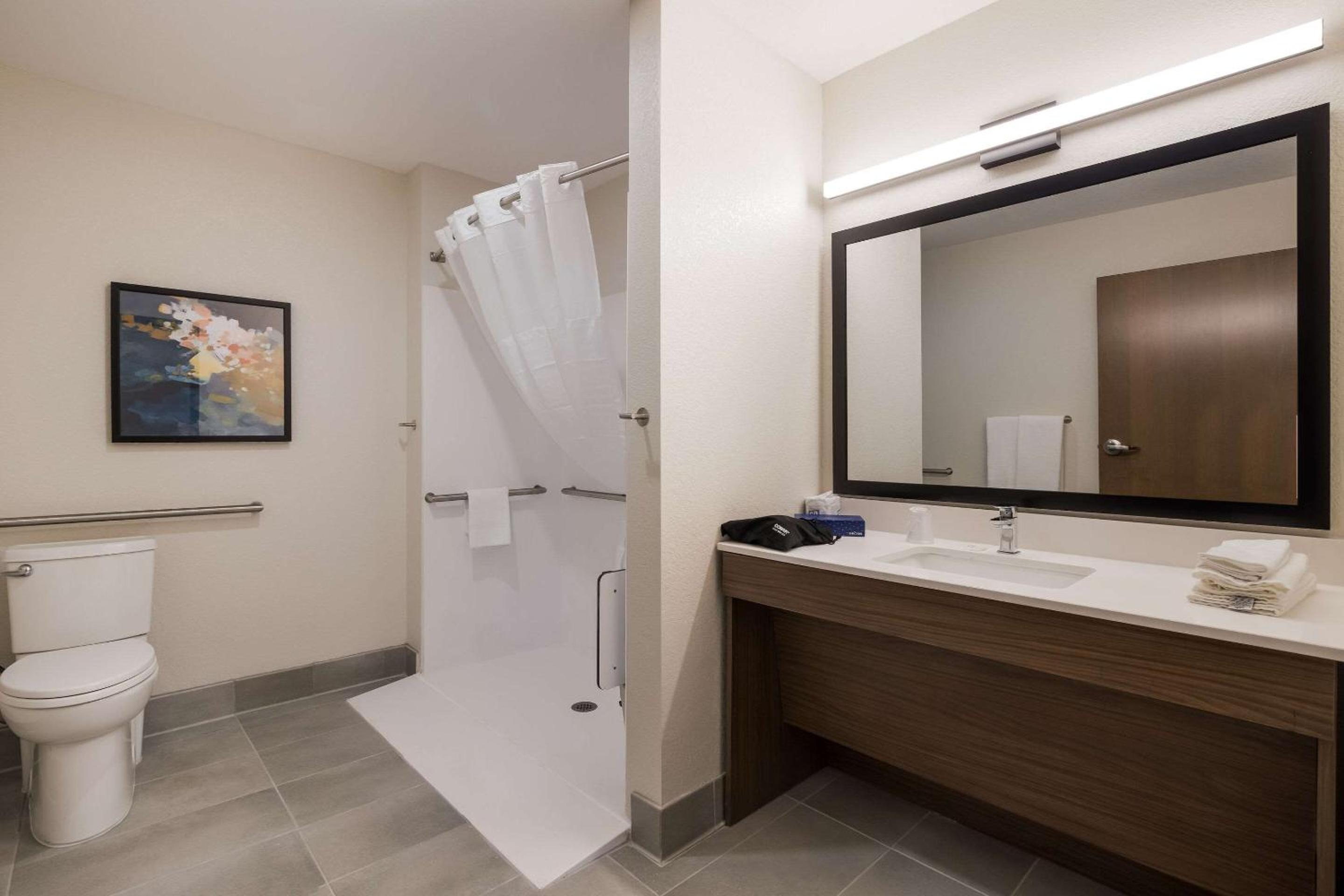 King Room with Roll-In Shower - Accessible/Non Smoking - Photo 5