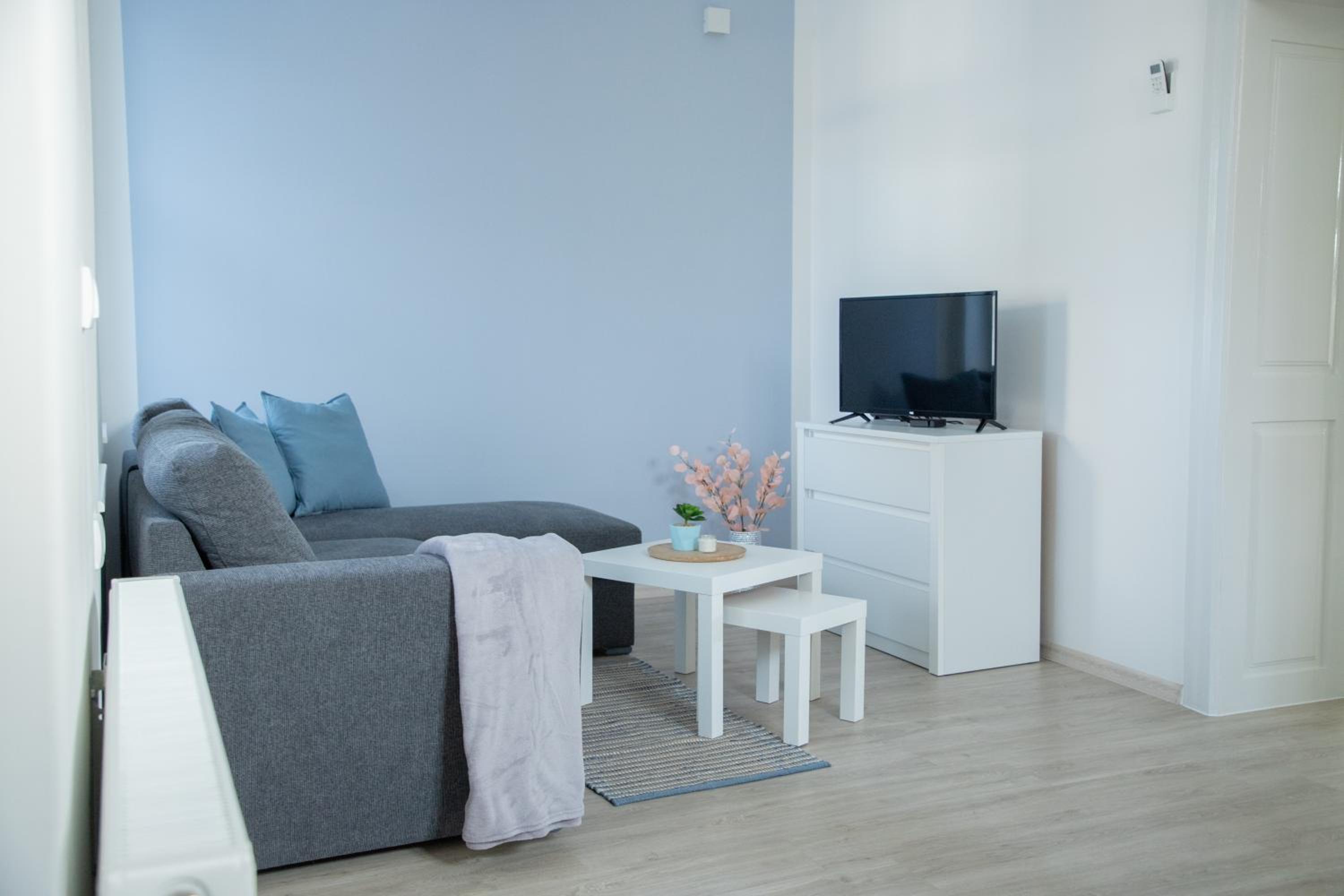 Superior Apartment photo 2