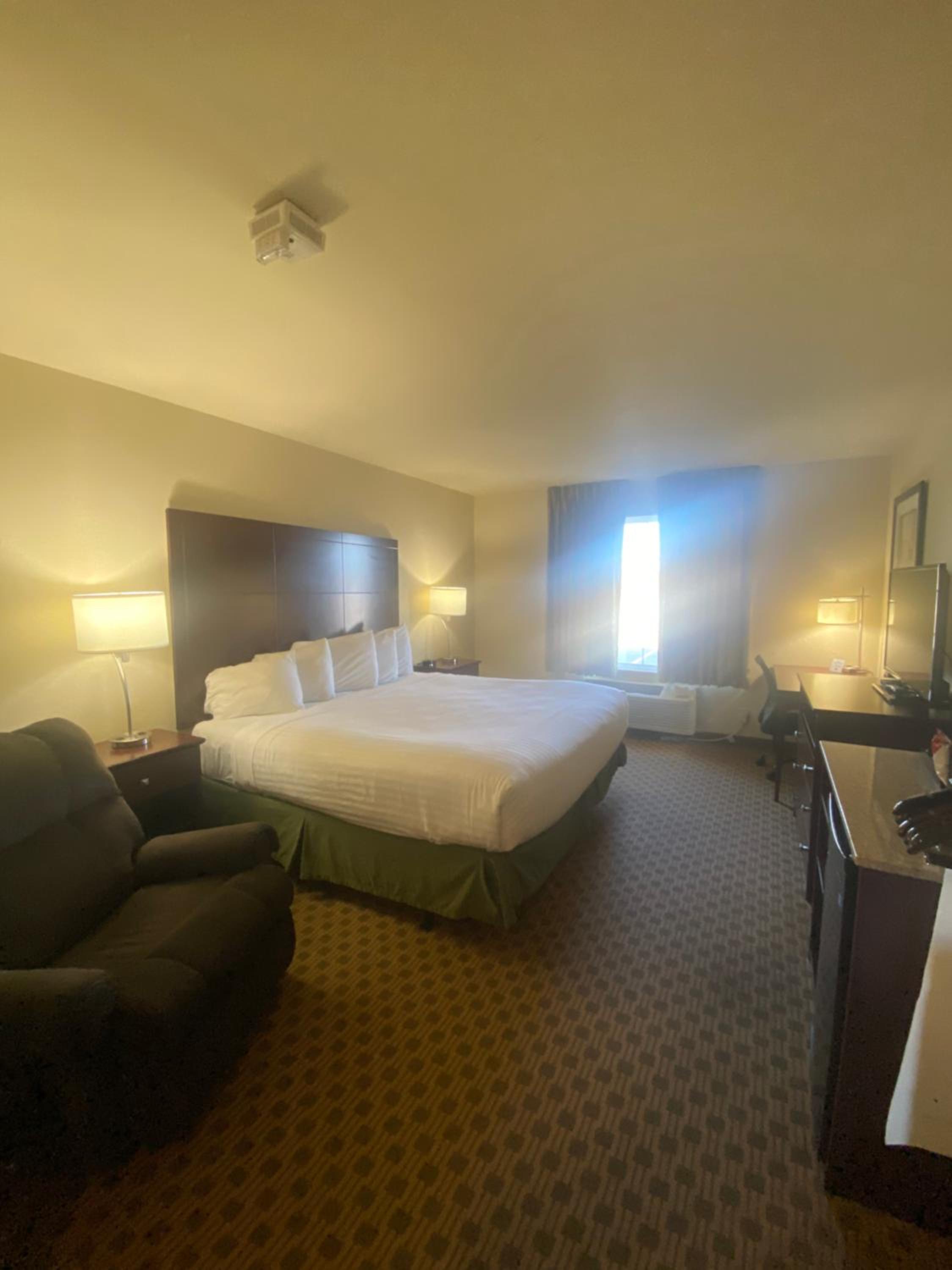 Single Room - Disability Access photo 1