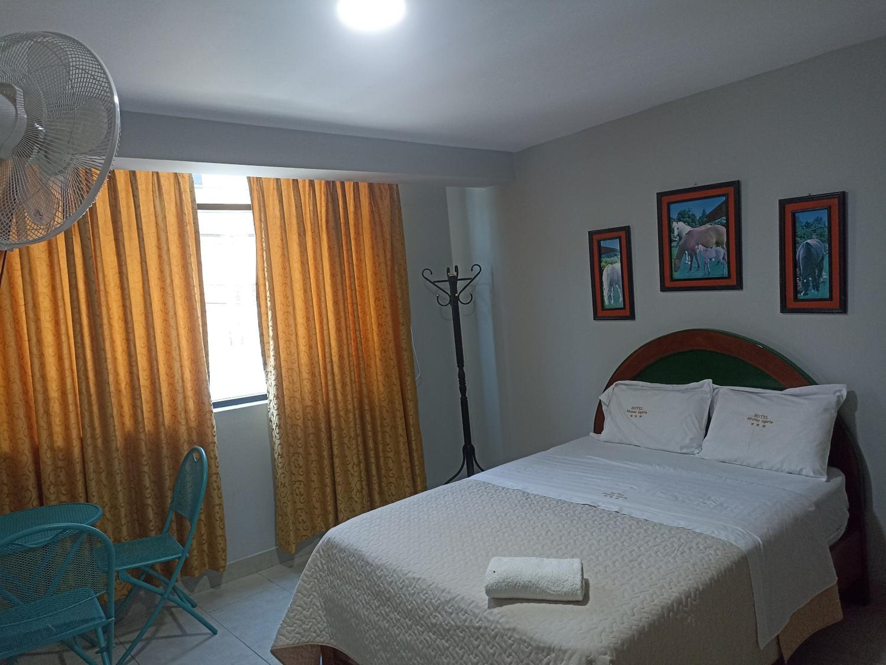 Single Room photo 1