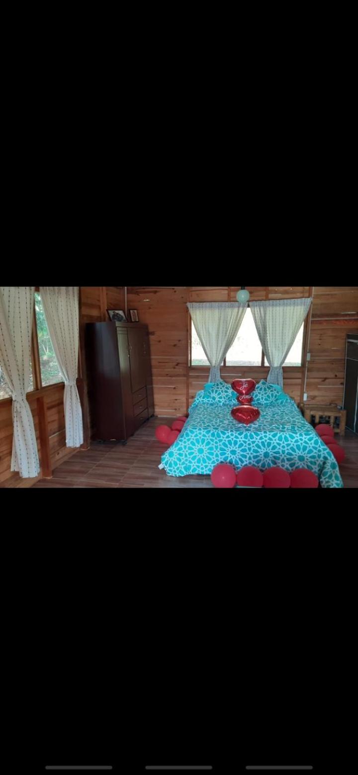 Double Room with Balcony photo 1
