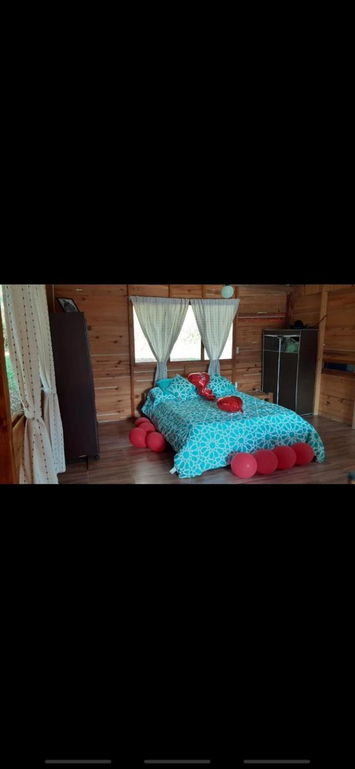 Double Room with Balcony photo 2