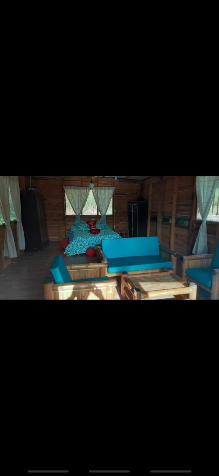 Double Room with Balcony photo 3