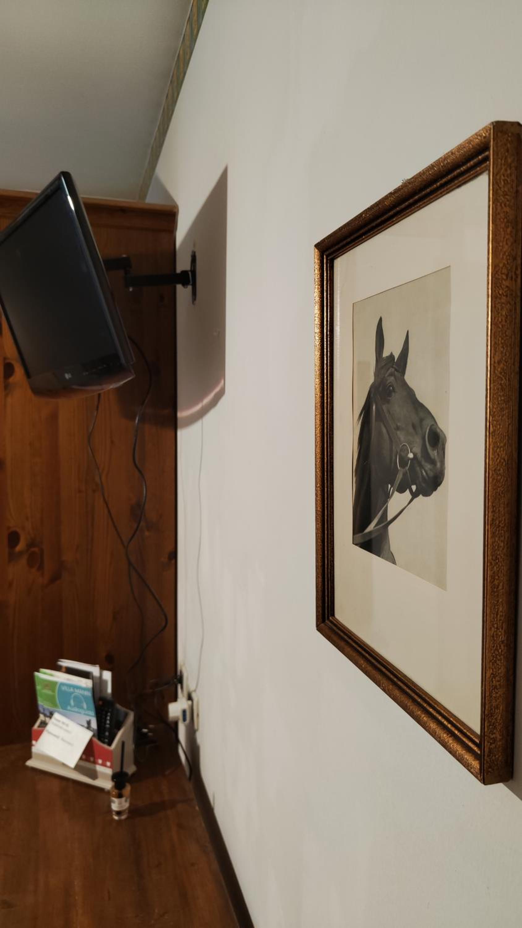 Single Room photo 3