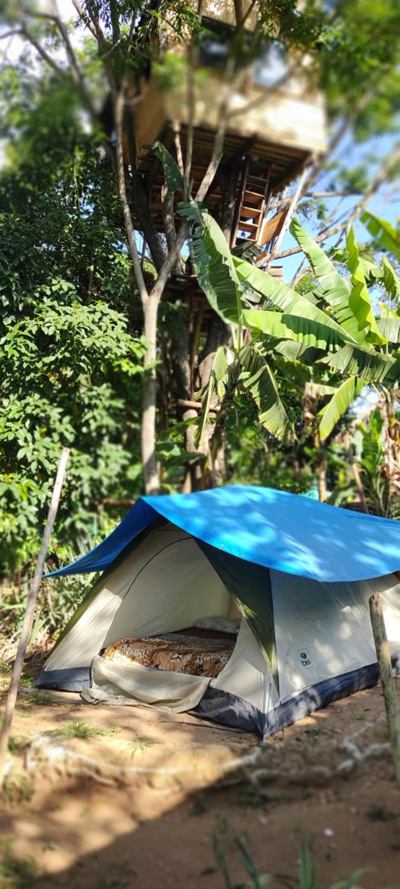 Tent photo 2
