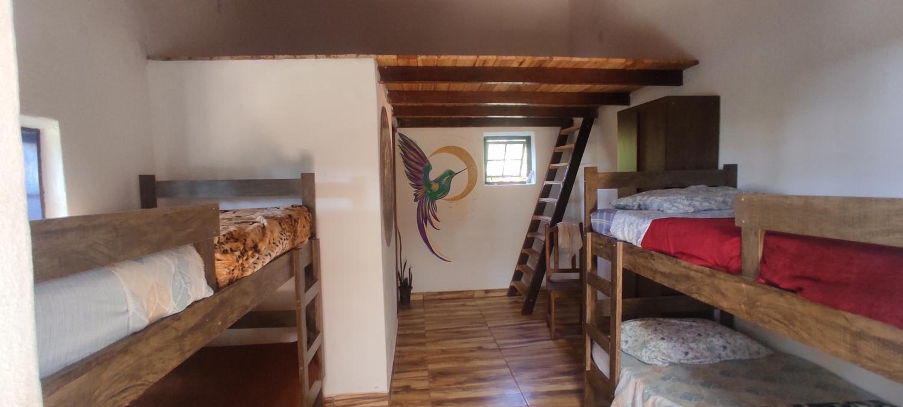 Single Bed In Mixed Dormitory Room photo 3