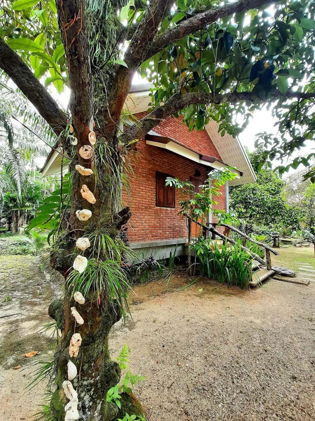 Villa with Garden View photo 3