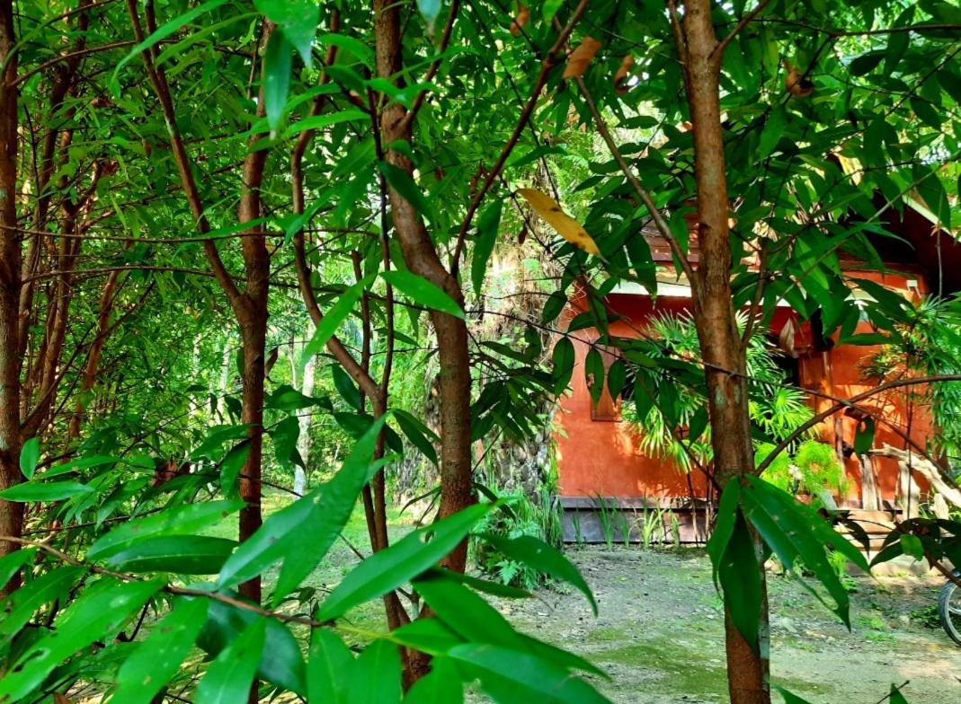 Villa with Garden View photo 2