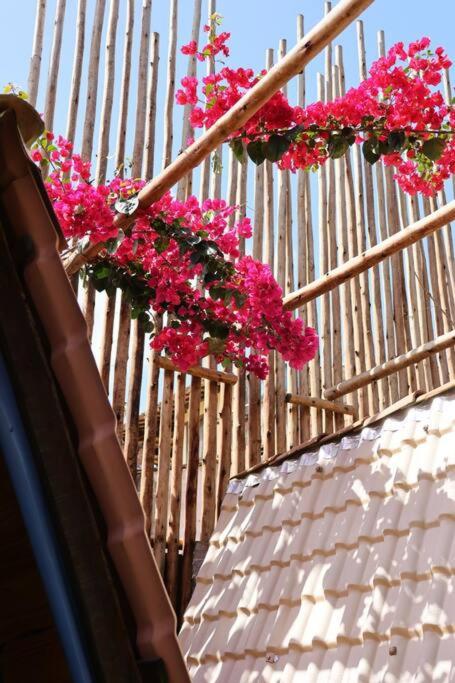 Chalet - Photo 9