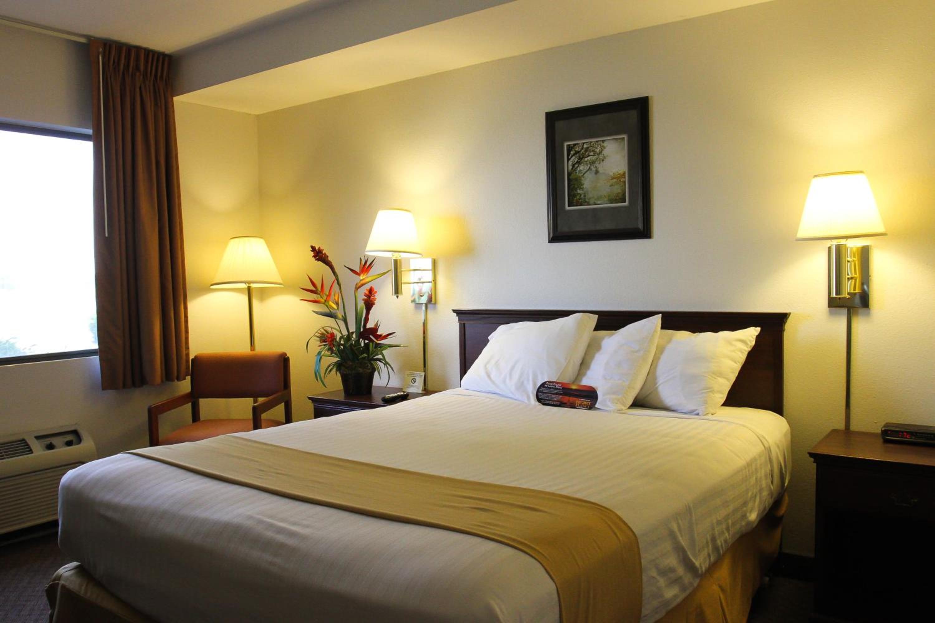 Queen Room photo 1