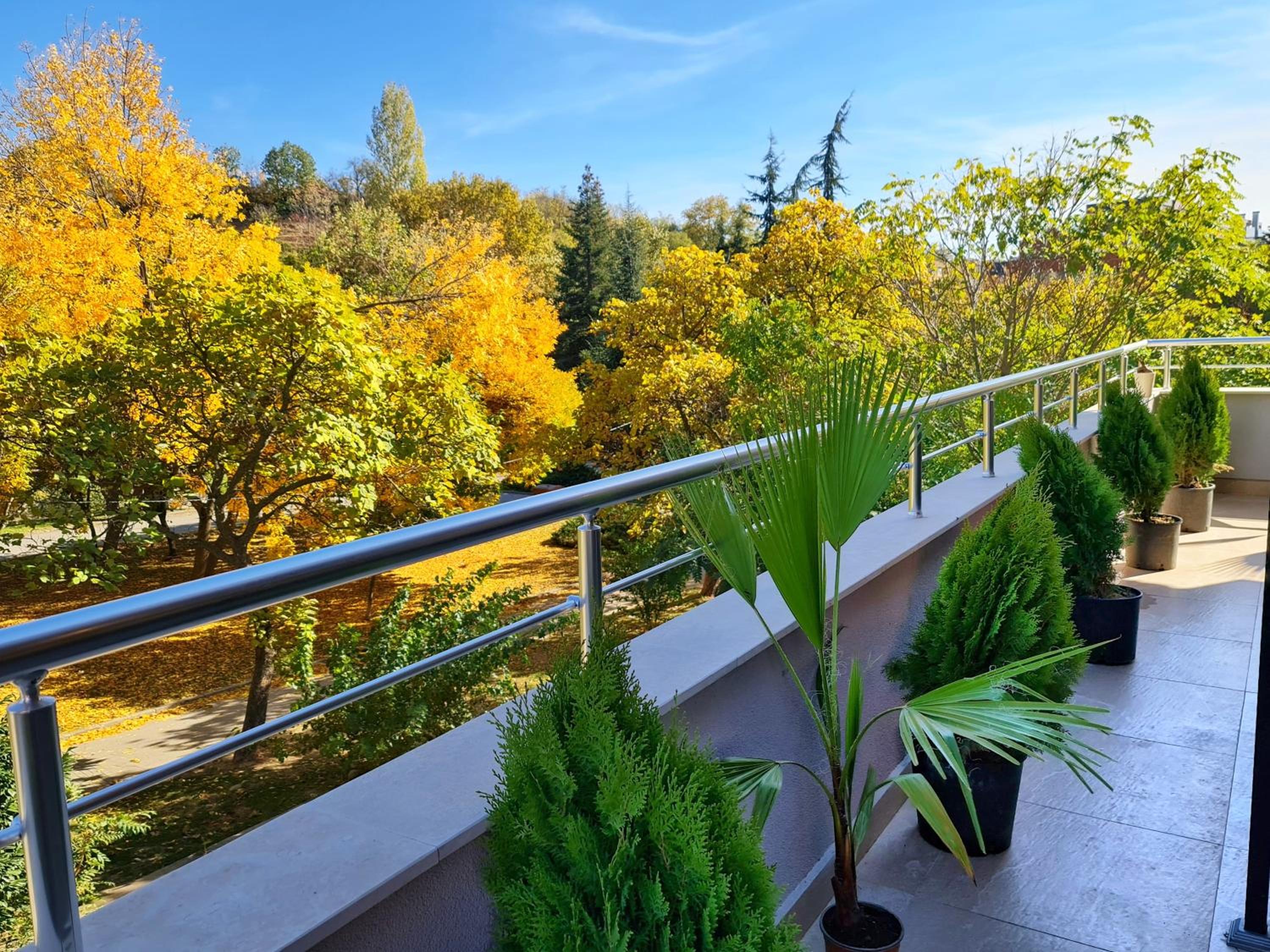 Studio with Terrace - Photo 8