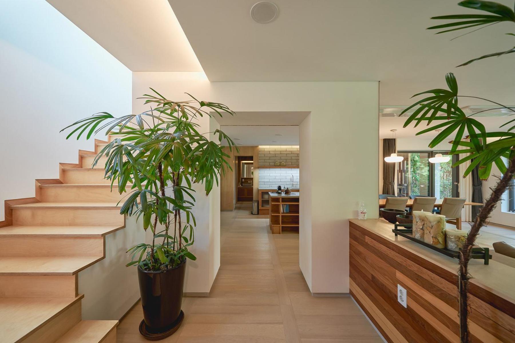 Family Suite - Photo 6