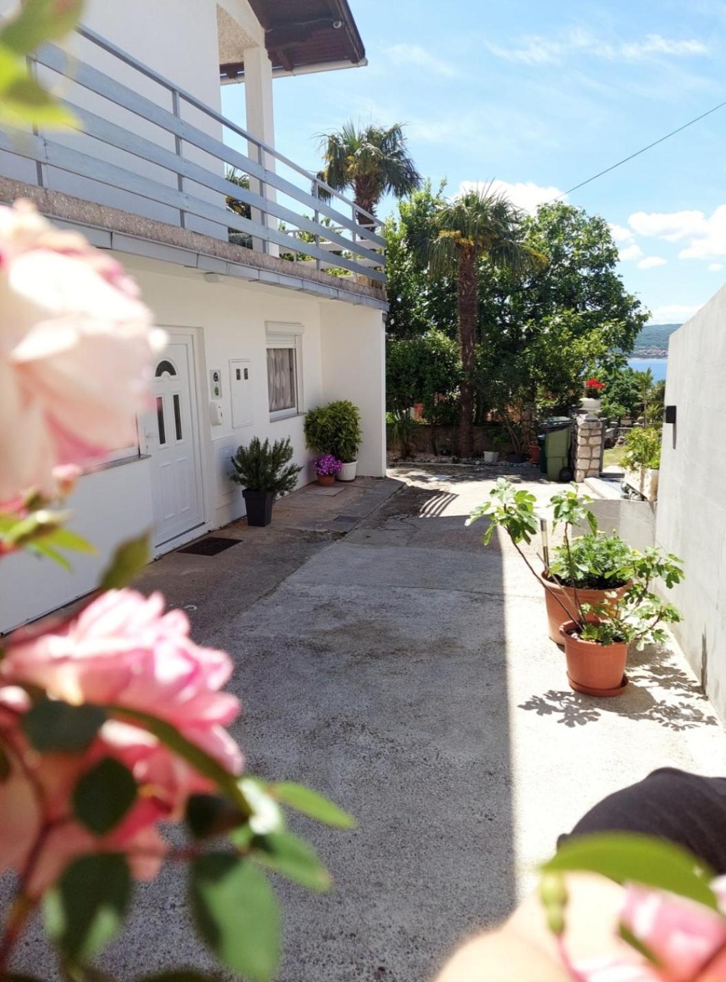 Apartment - Ground Floor photo 2