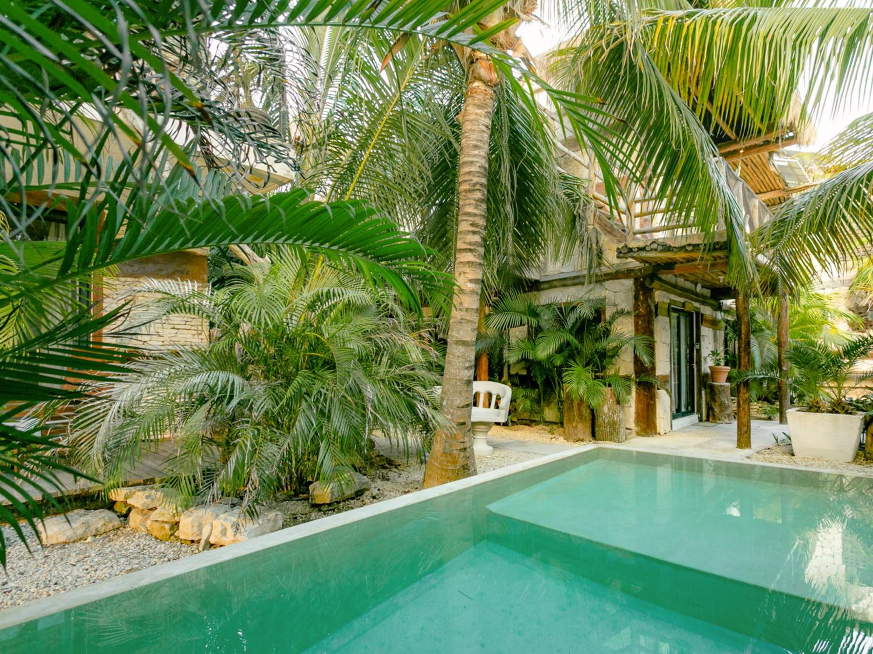 Superior Double or Twin Room with Jungle View - Photo 73