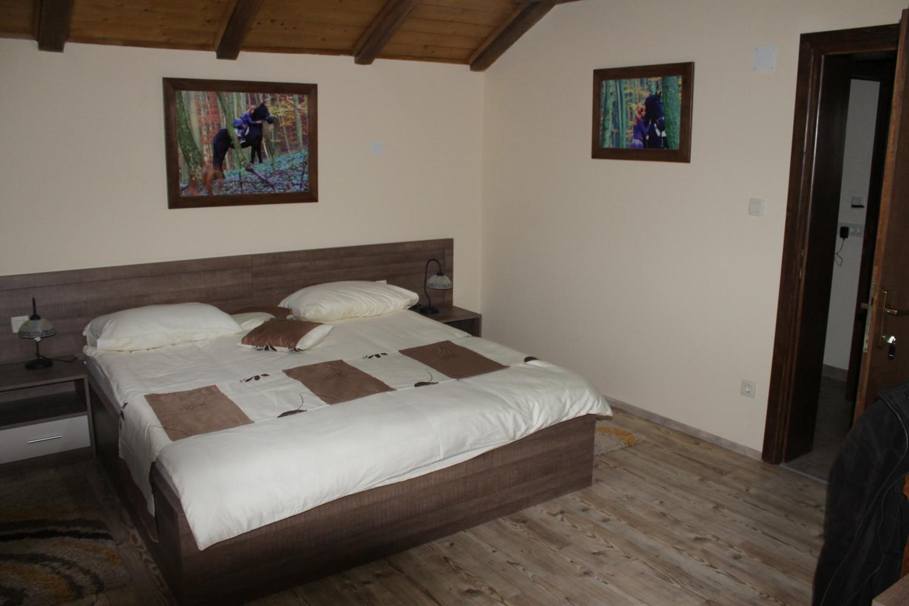 Comfort Double Room with Balcony photo 2