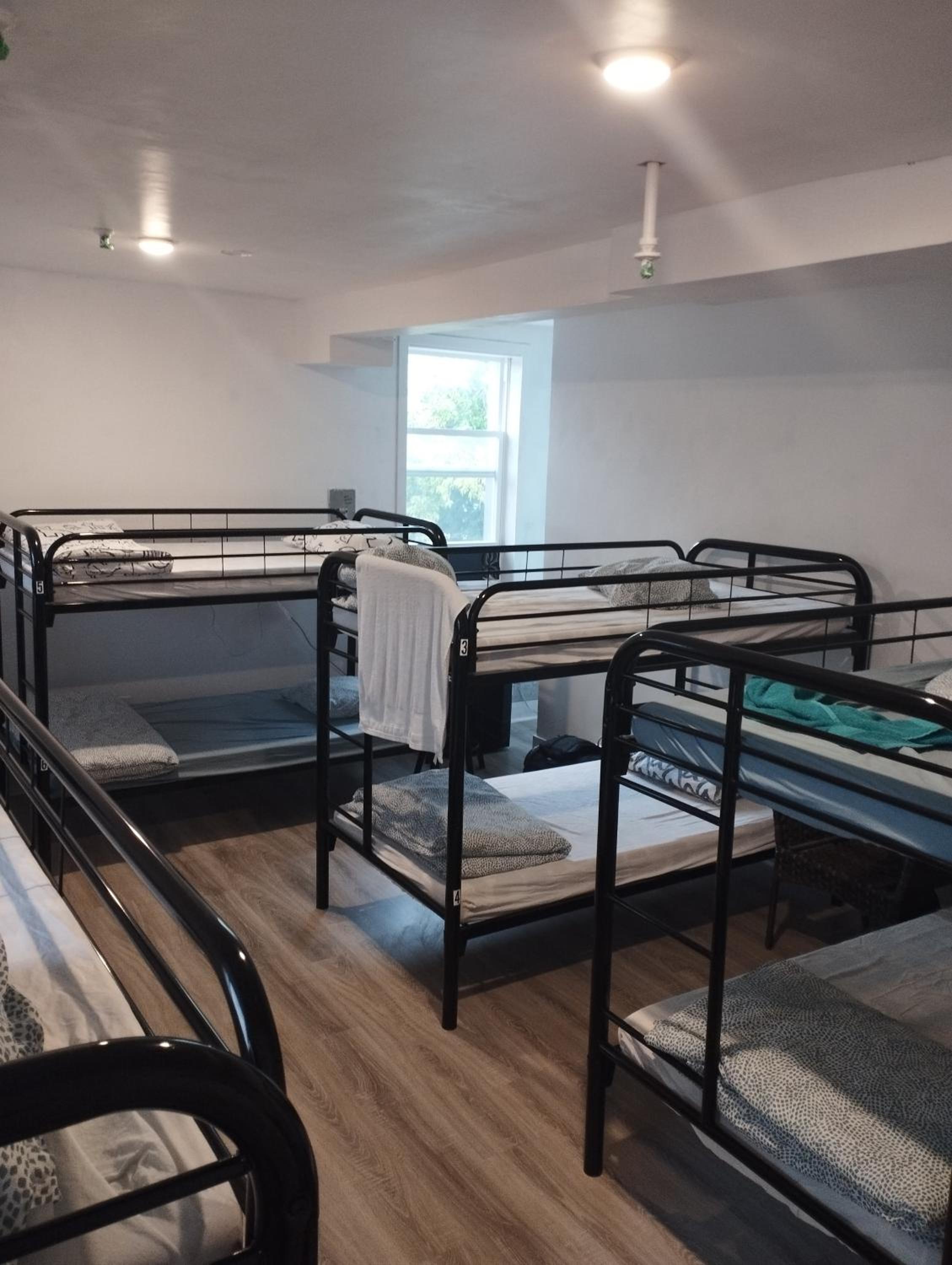 Bed in 10-Bed Mixed Dormitory Room