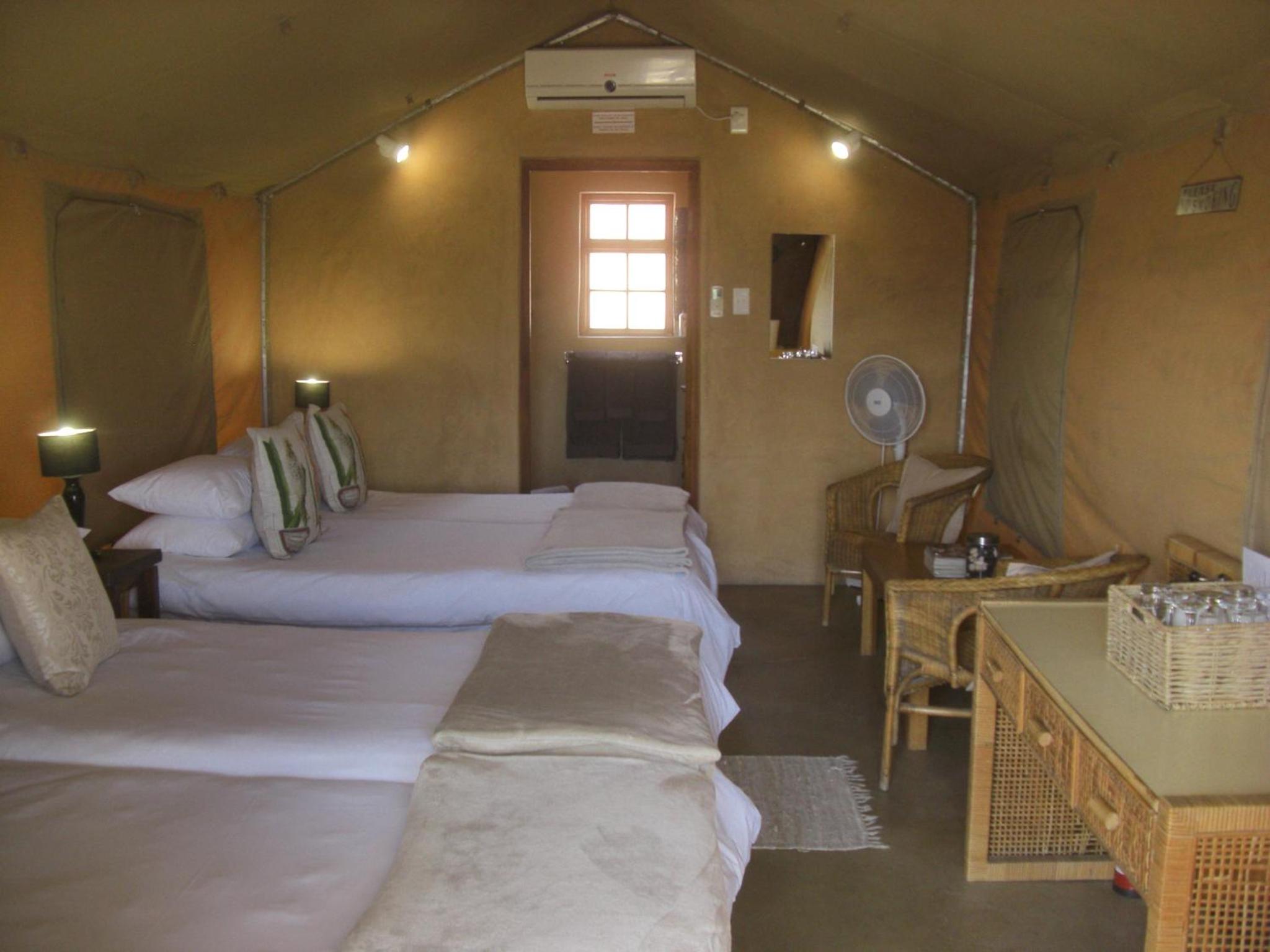 Classic Quadruple Room photo 3