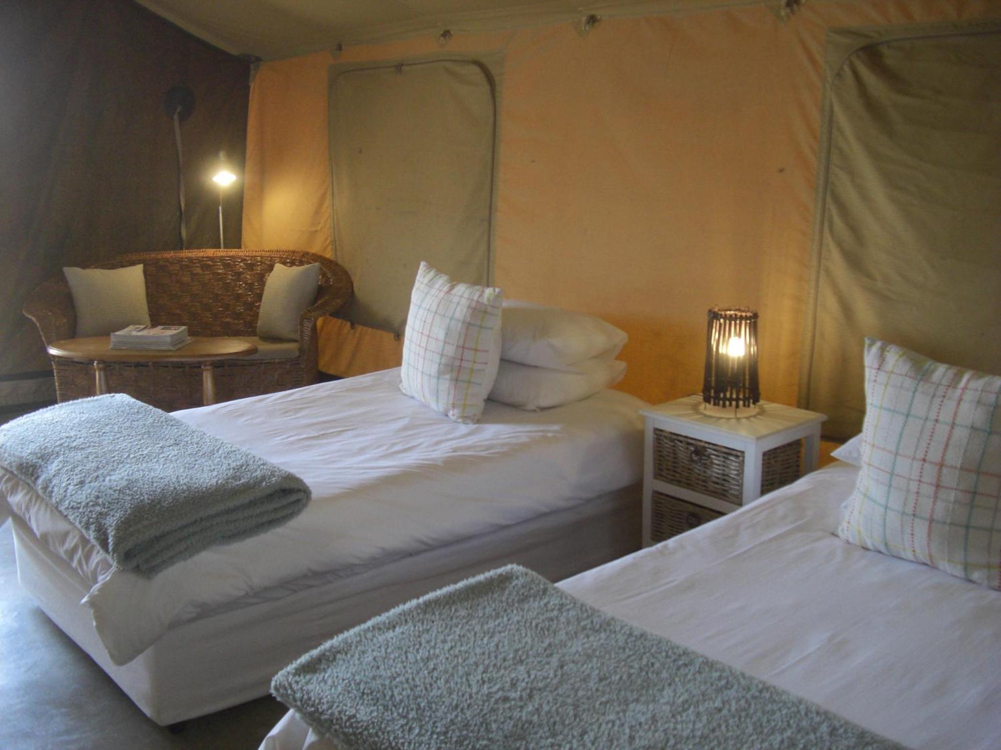 Double Luxury Tent  photo 3