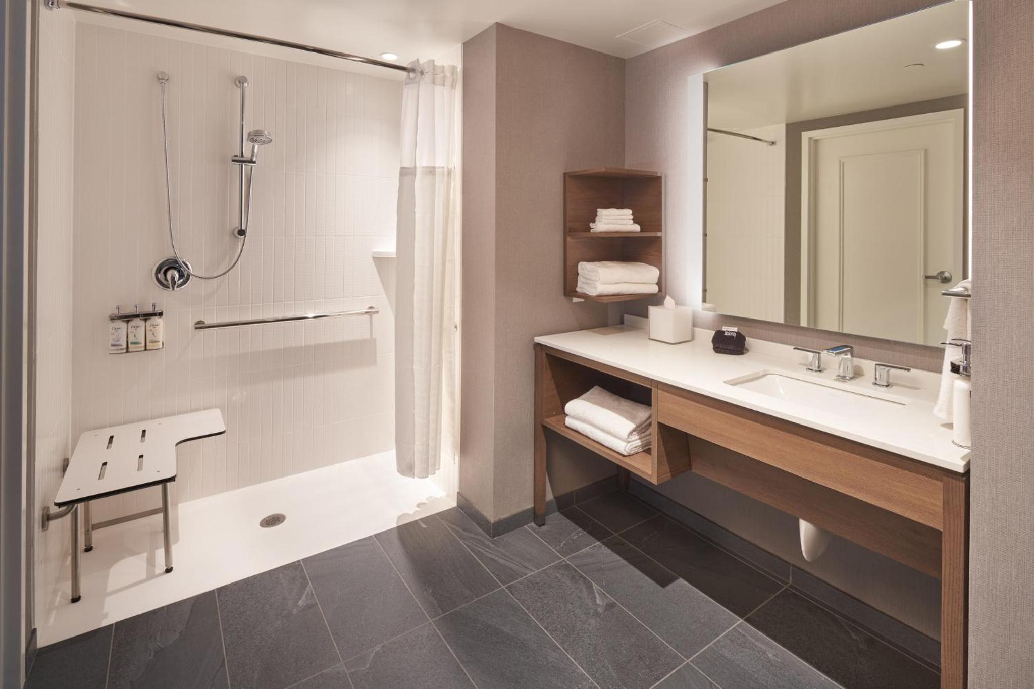 Queen Studio with Mobility Accessible Roll-In Shower - Photo 9