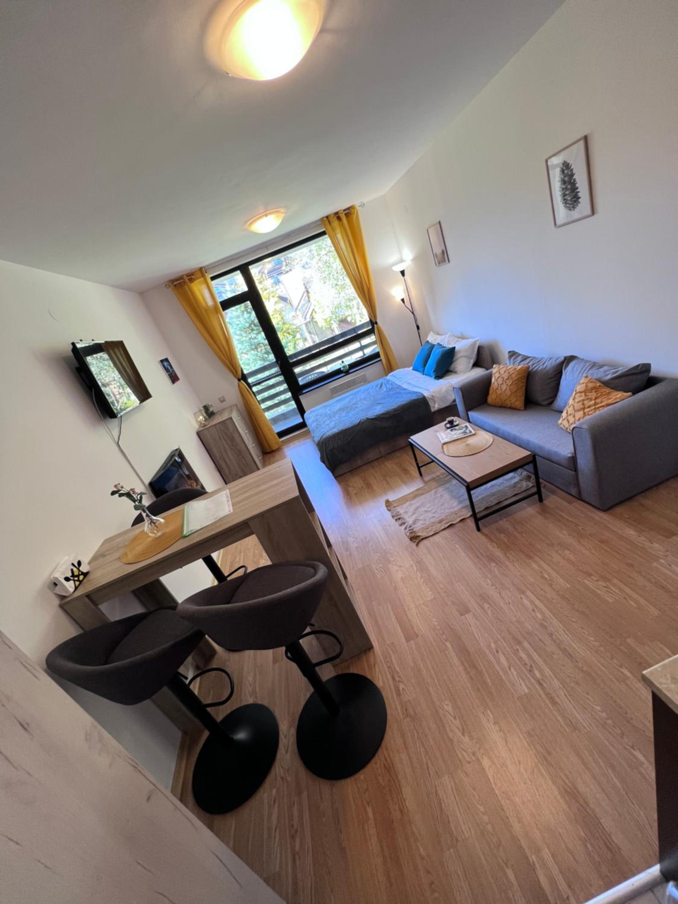 One-Bedroom Apartment photo 3