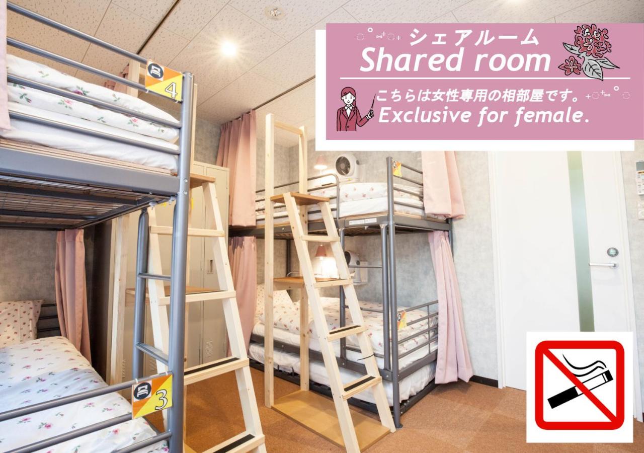 Bunk Bed in Female Dormitory Room photo 2