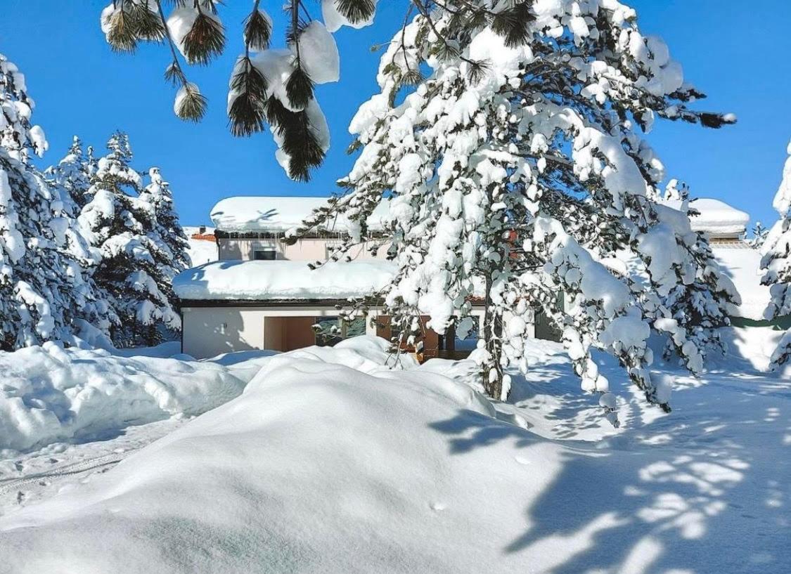 Superior Chalet photo 2