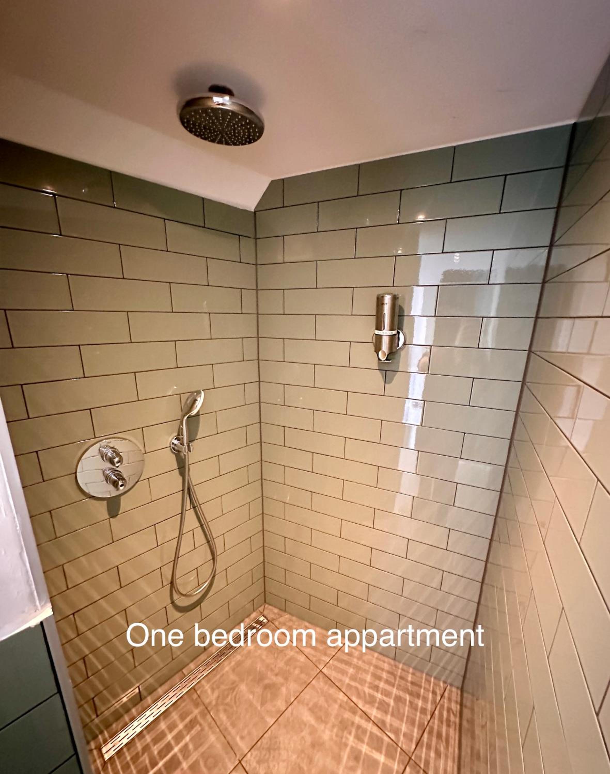 One-Bedroom Apartment - Photo 4