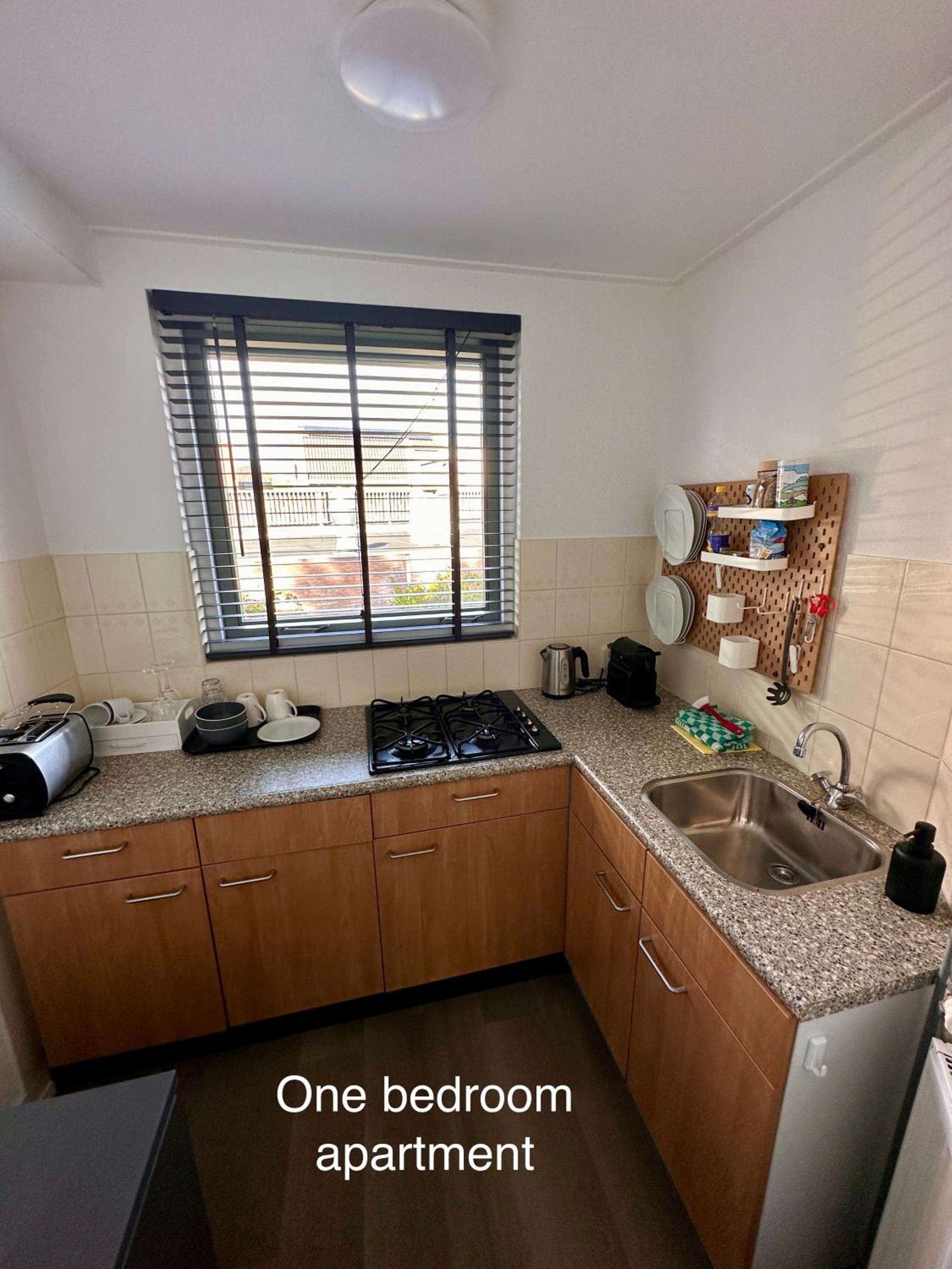 One-Bedroom Apartment - Photo 5