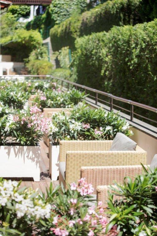 Terraza Estándar con Jardín