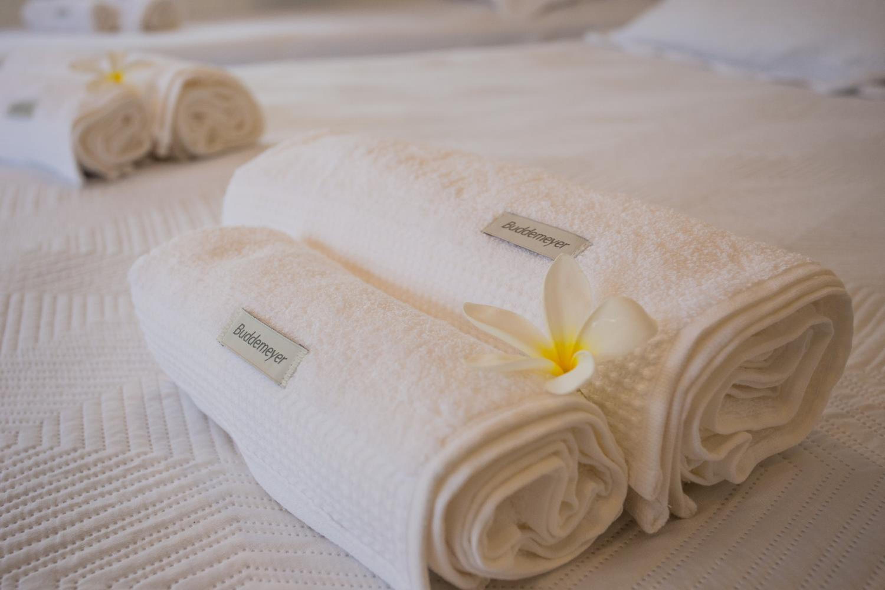 Premium Quadruple Room - Photo 3