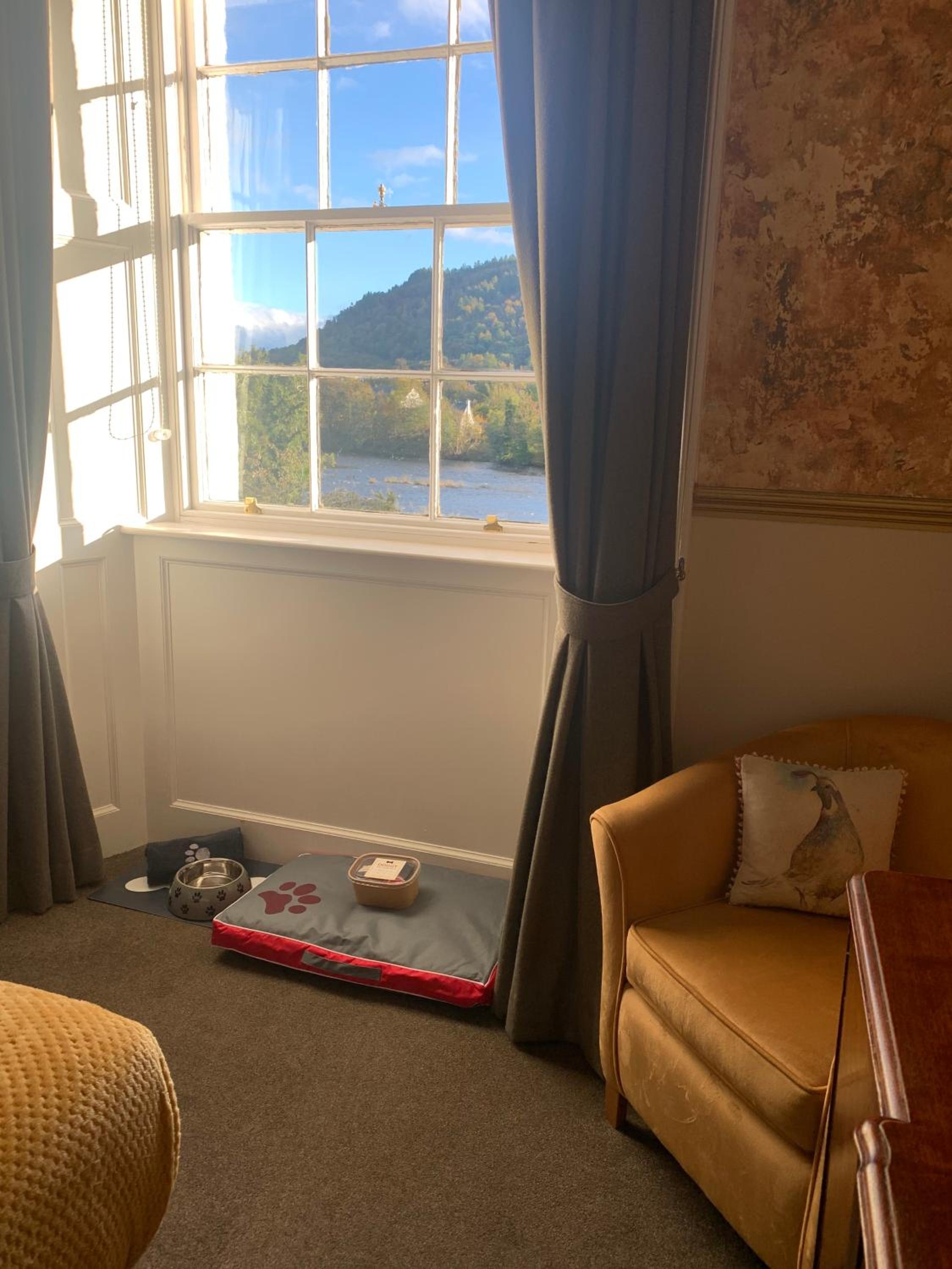 Double Guest Room with River View photo 3