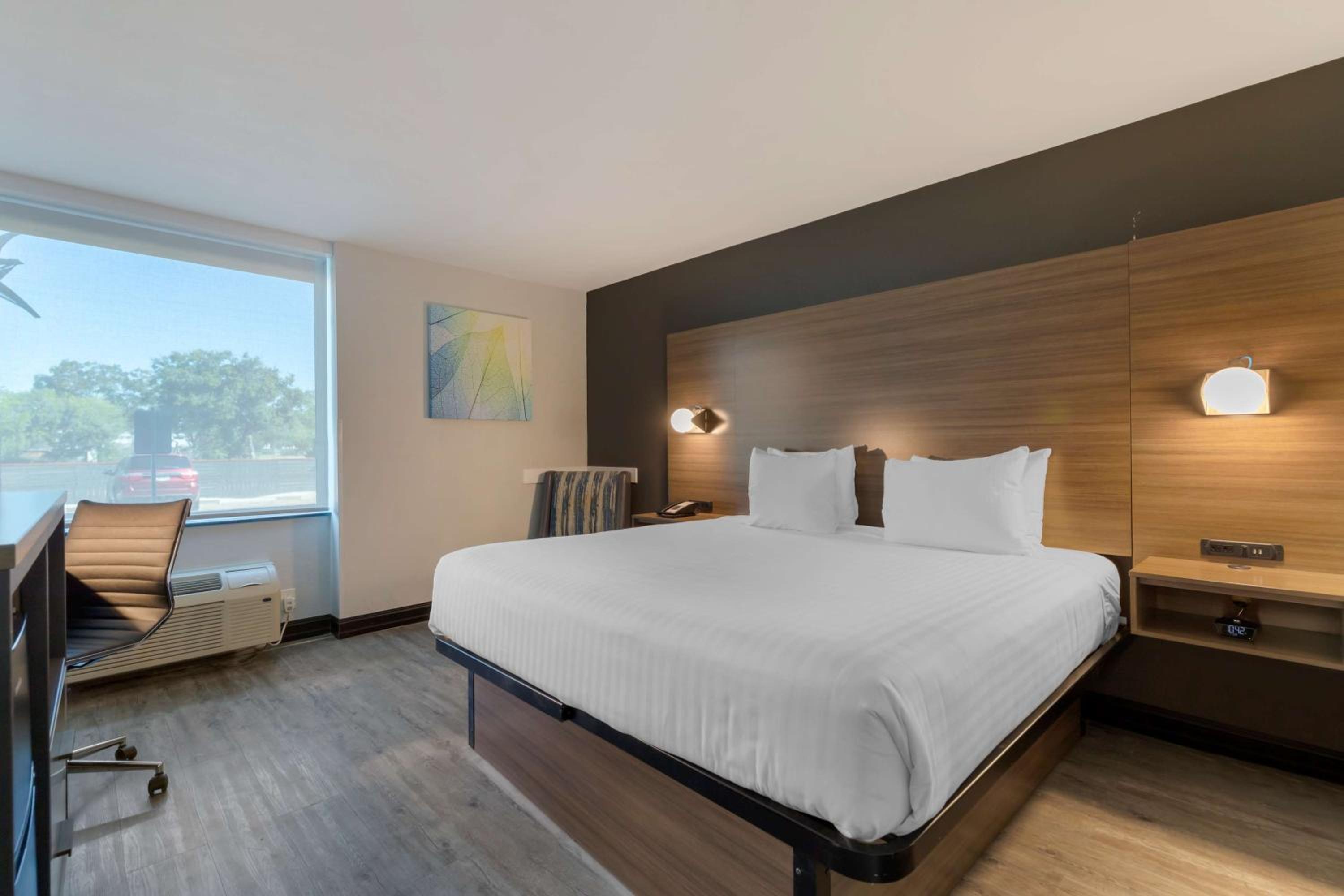 King Room with Roll-in Shower - Disability Access/Non-Smoking - Photo 1