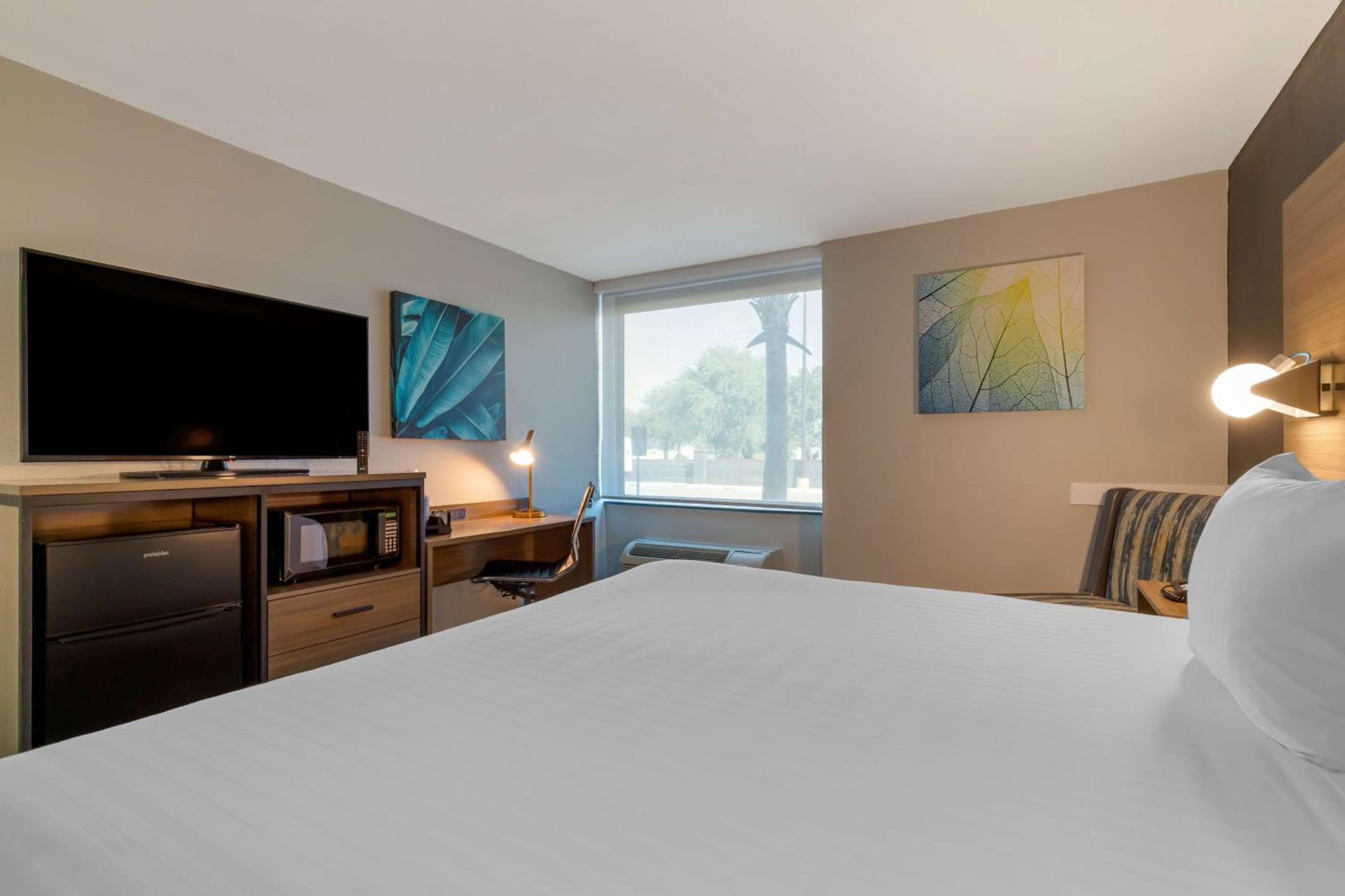 King Room with Roll-in Shower - Disability Access/Non-Smoking - Photo 3